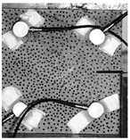 Materials 17 04684 i013