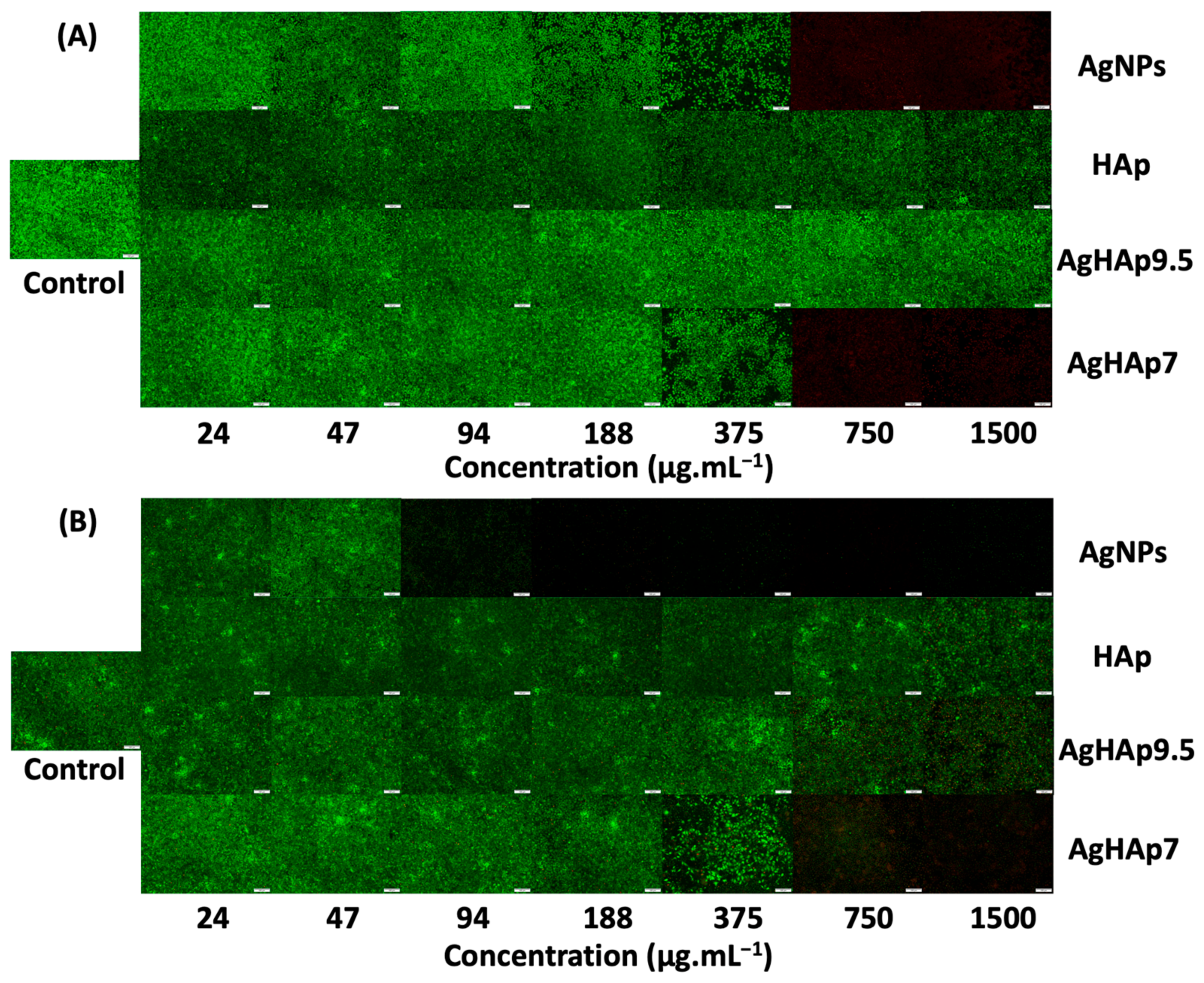 Materials 17 04688 g005