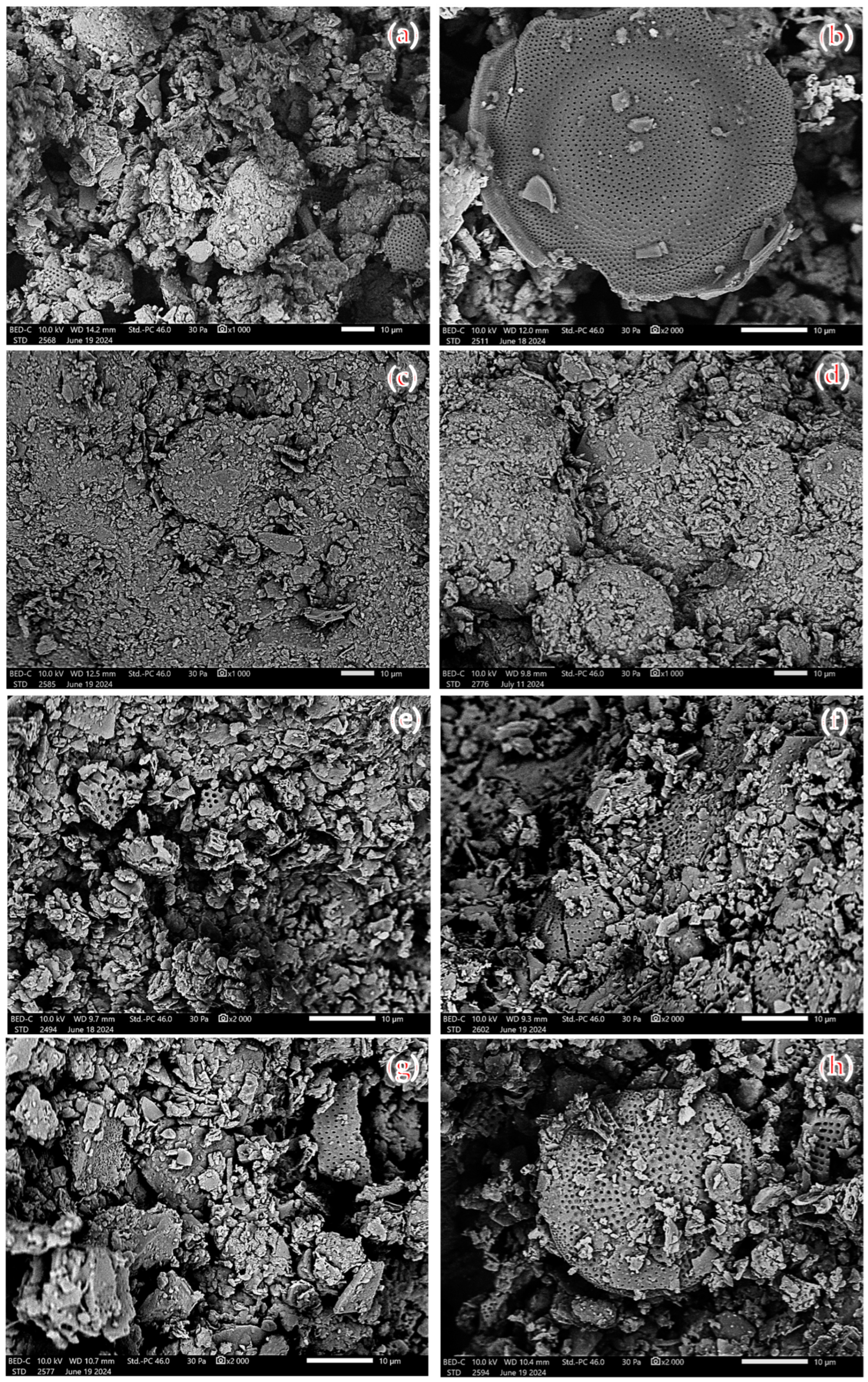 Materials 17 04691 g007