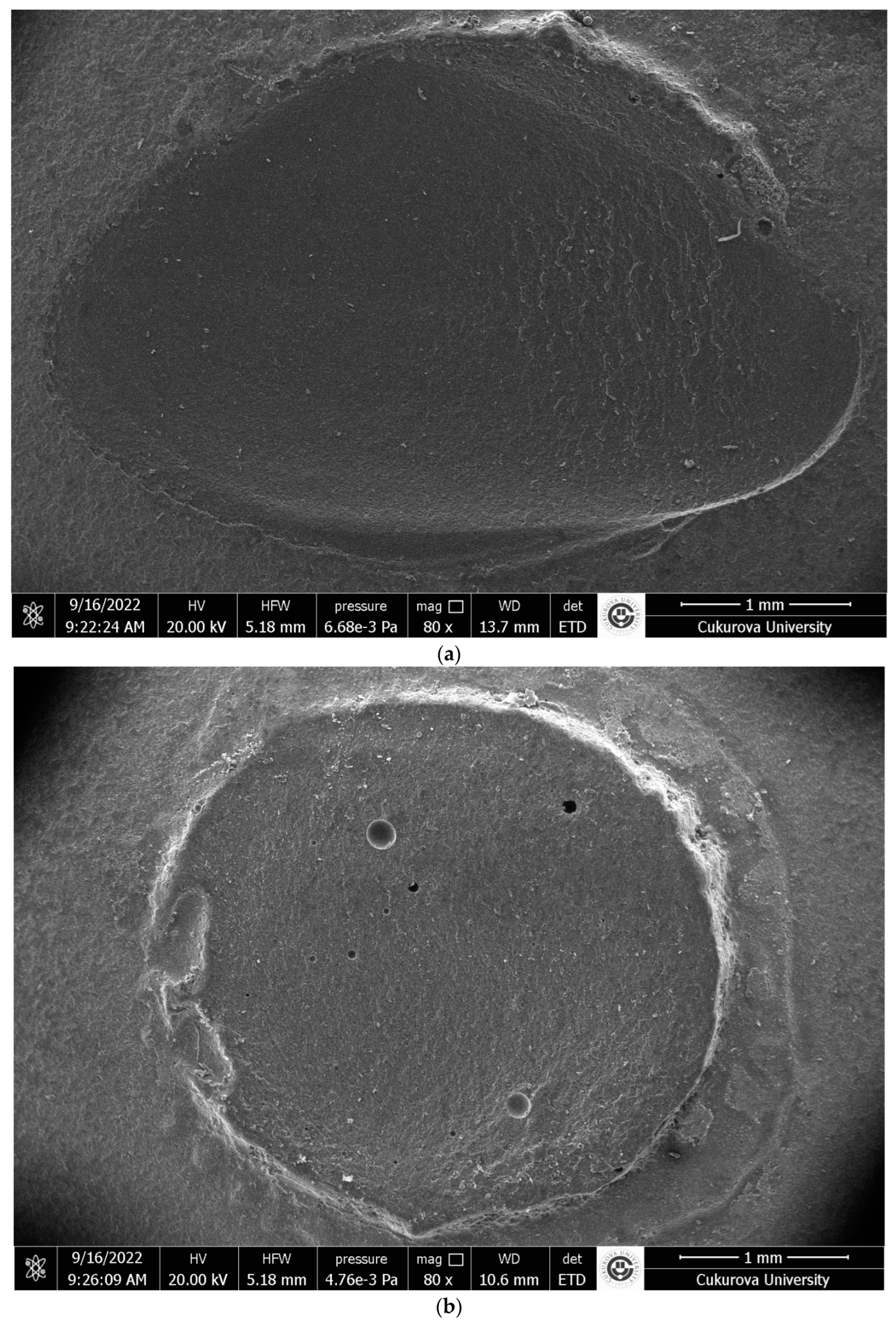 Materials 17 04697 g002a