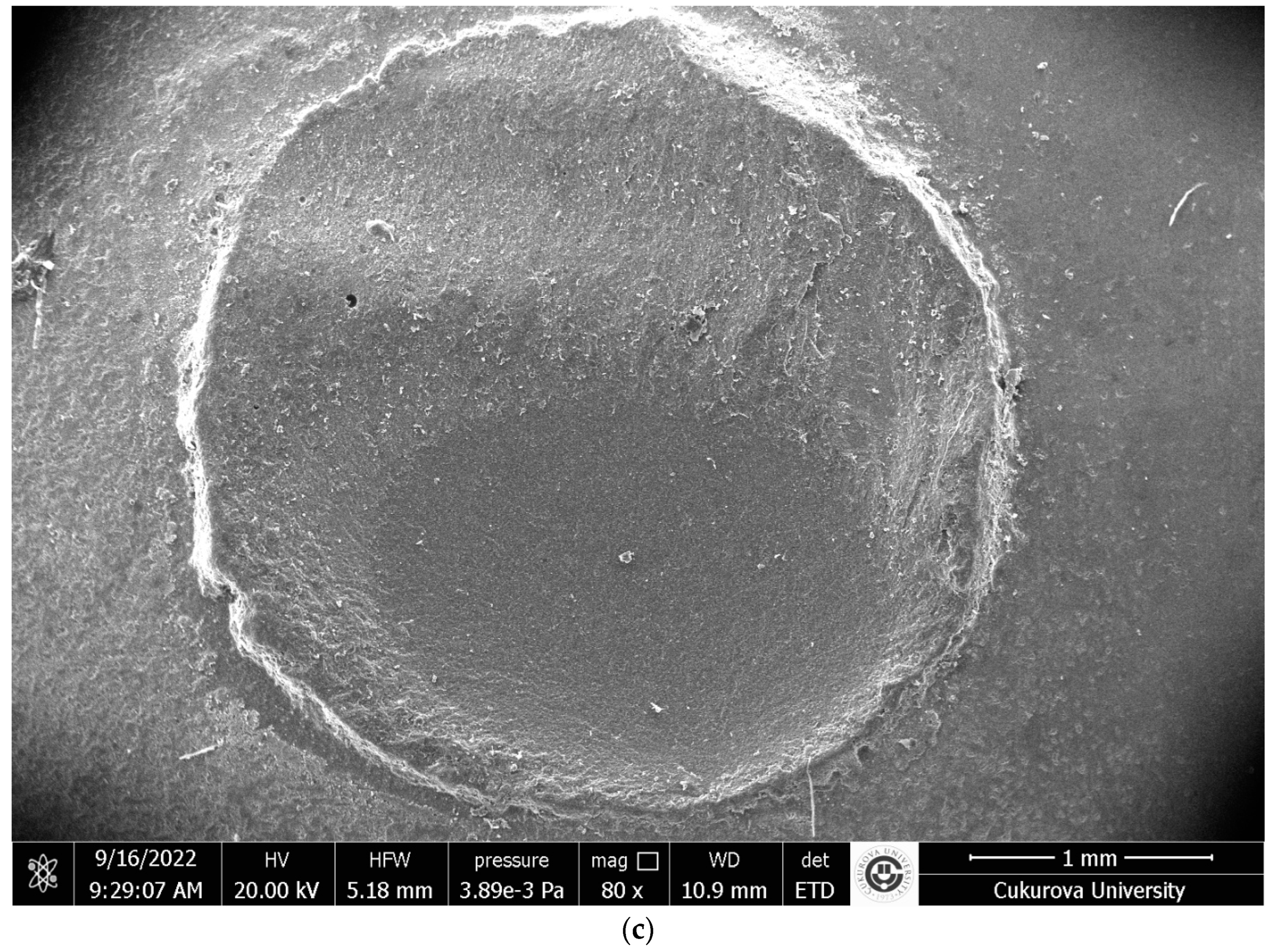 Materials 17 04697 g002b