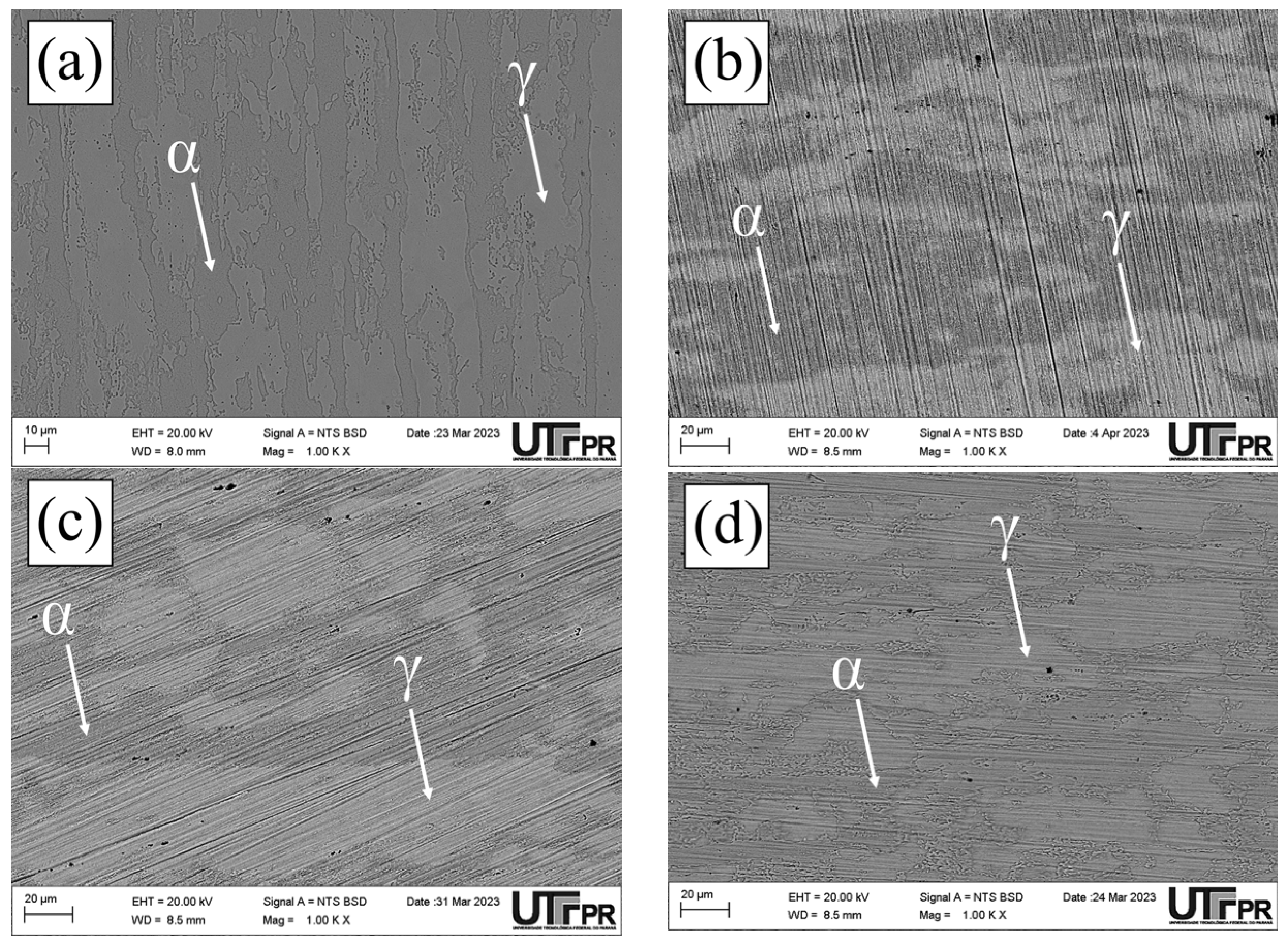 Materials 17 04715 g010