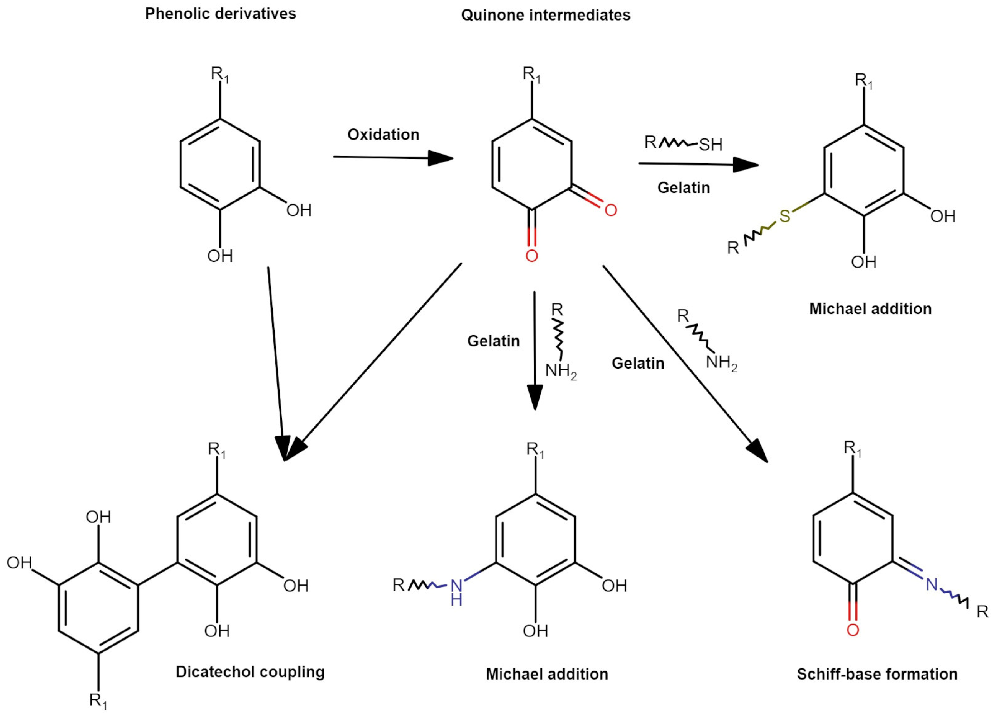 Materials 17 04724 g001