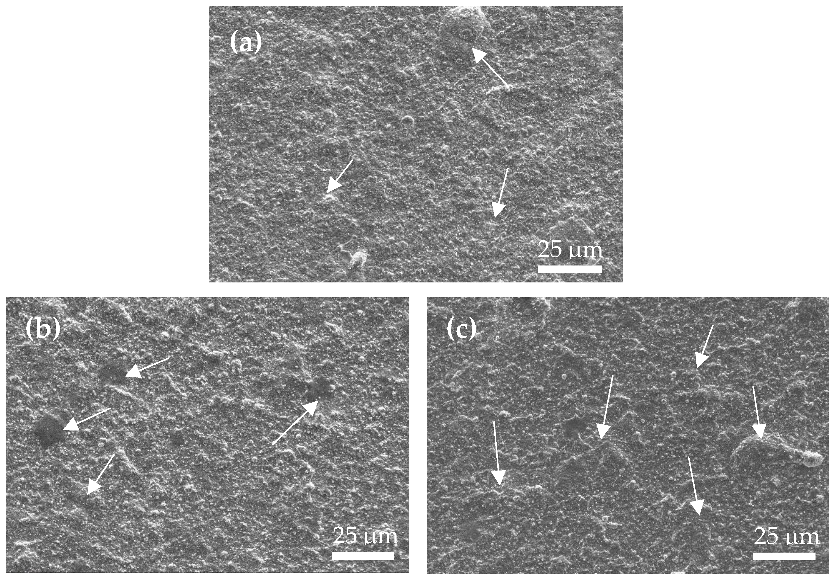 Materials 17 04748 g003