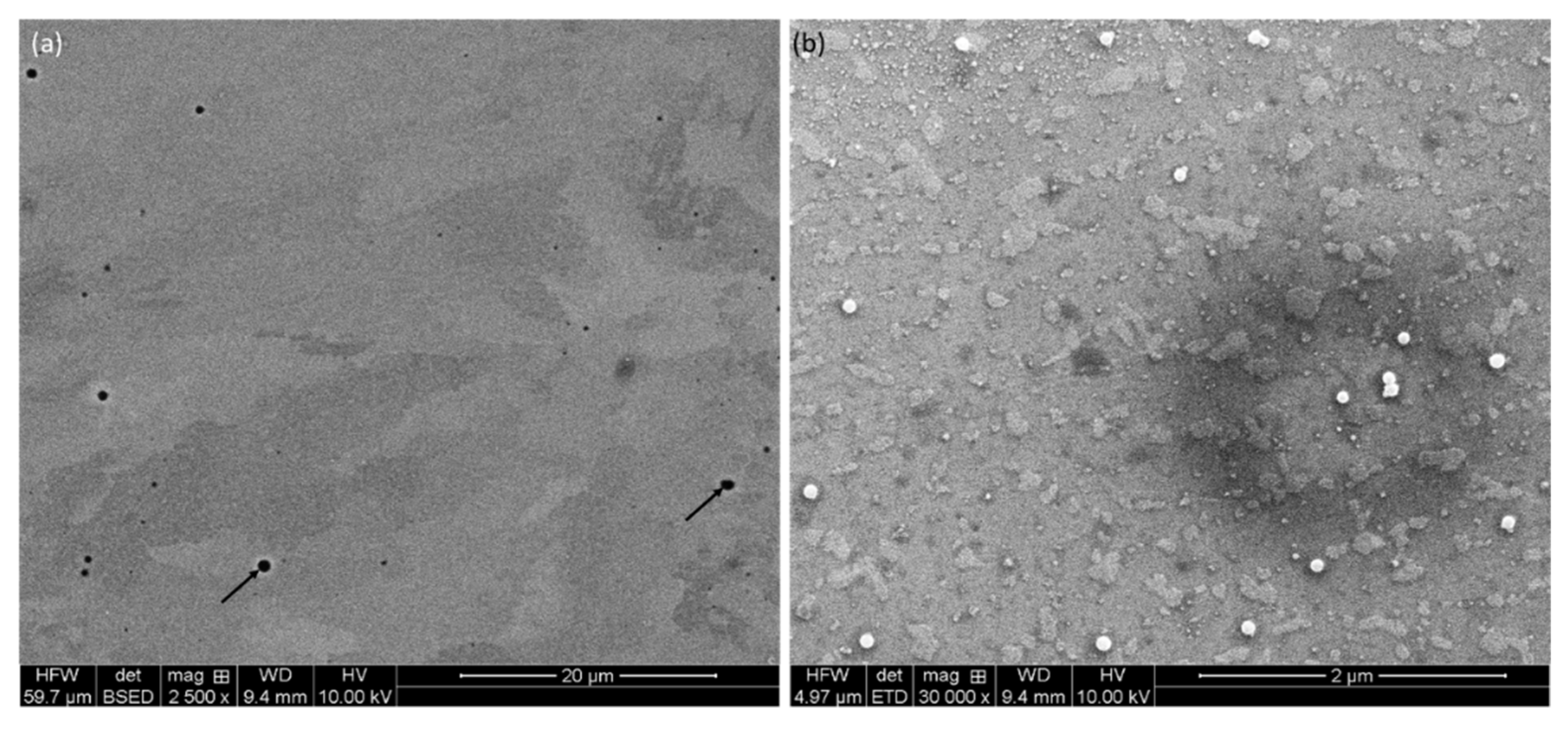 Materials 17 04780 g003a Materials 17 04780 g003a