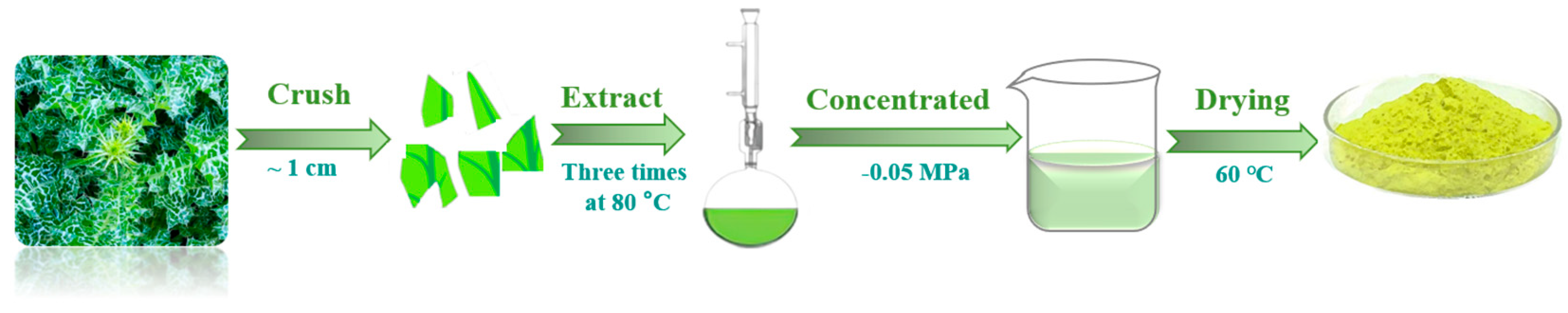 Materials 17 04794 g001