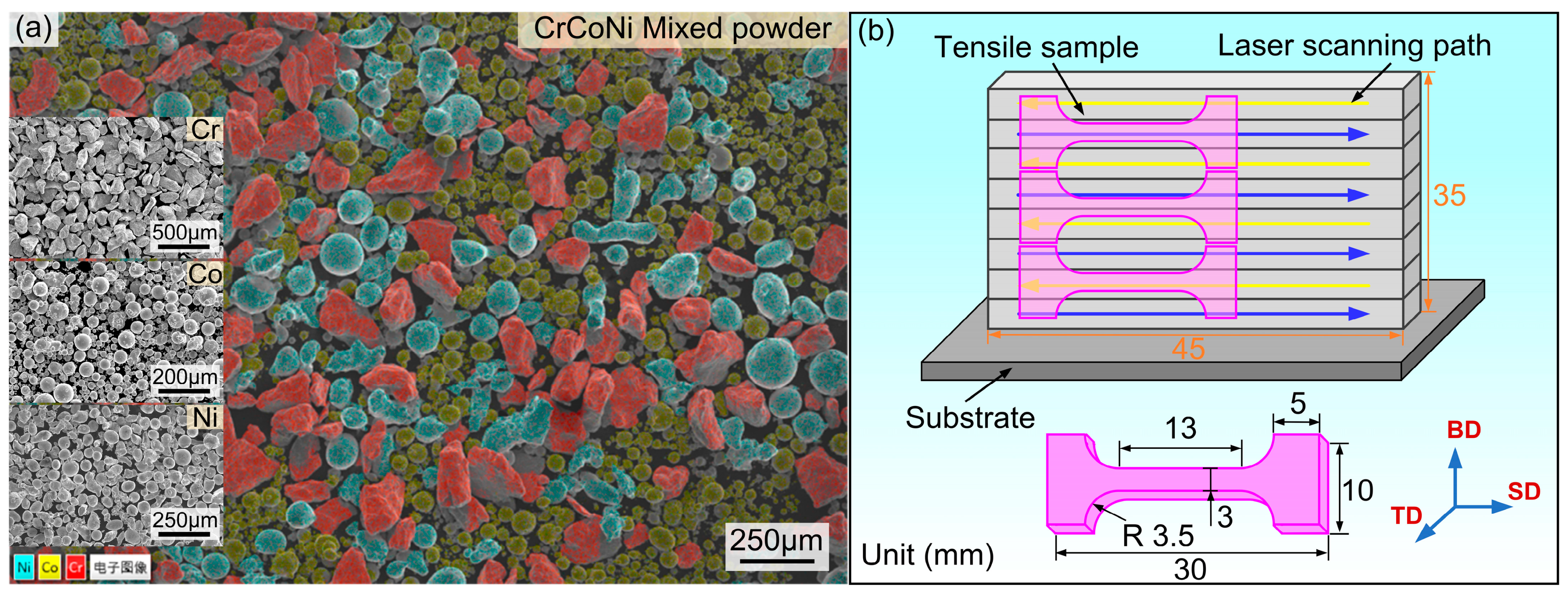 Materials 17 04795 g001