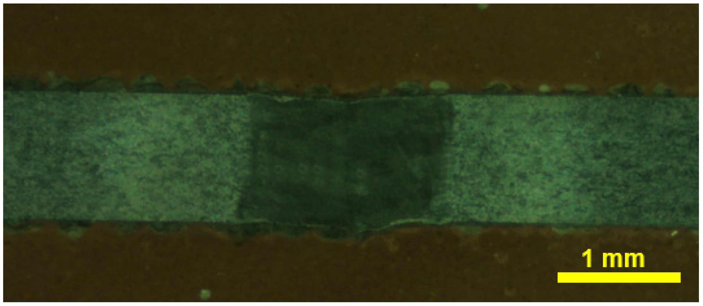 Materials 17 04801 g001