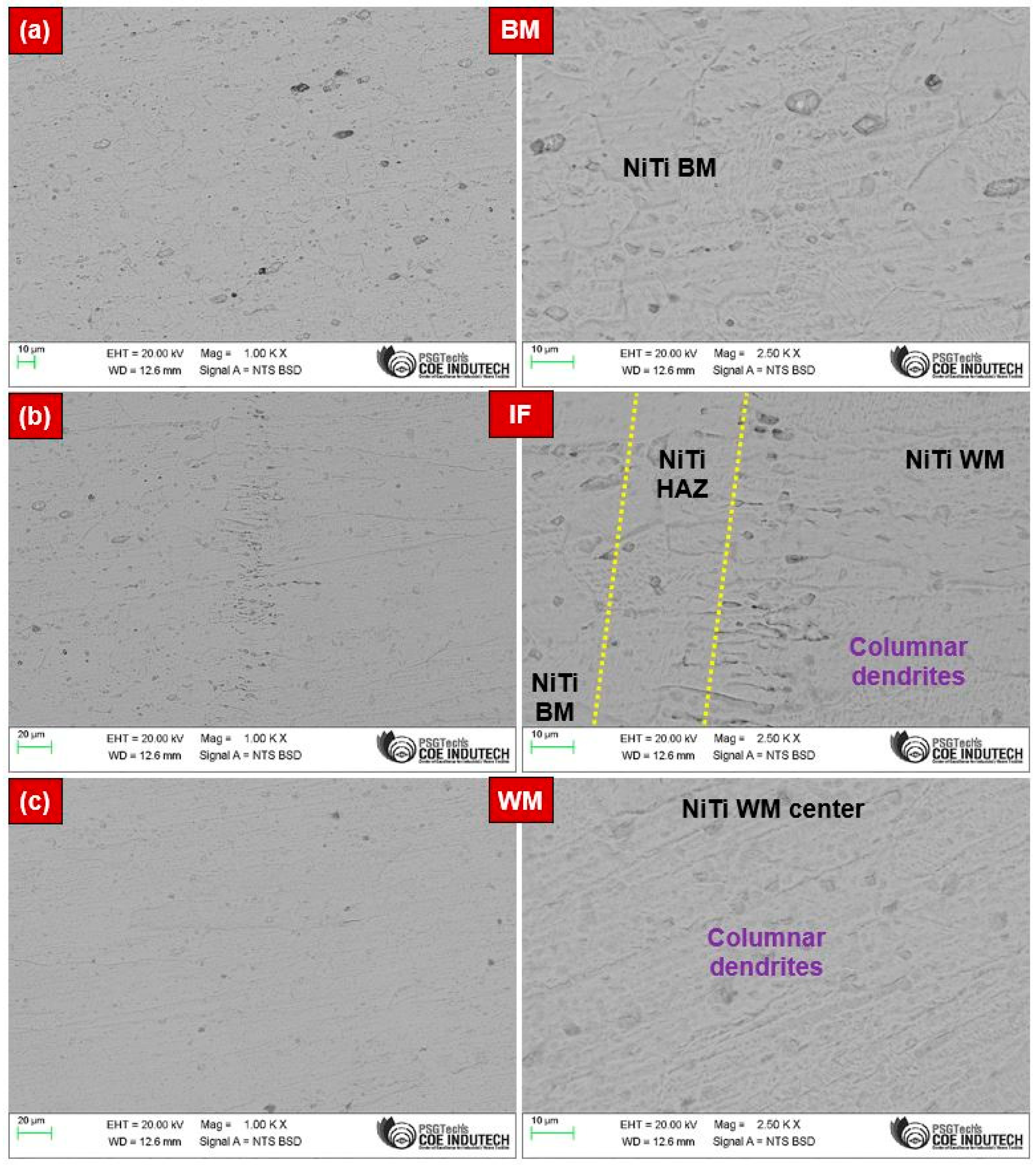 Materials 17 04801 g002