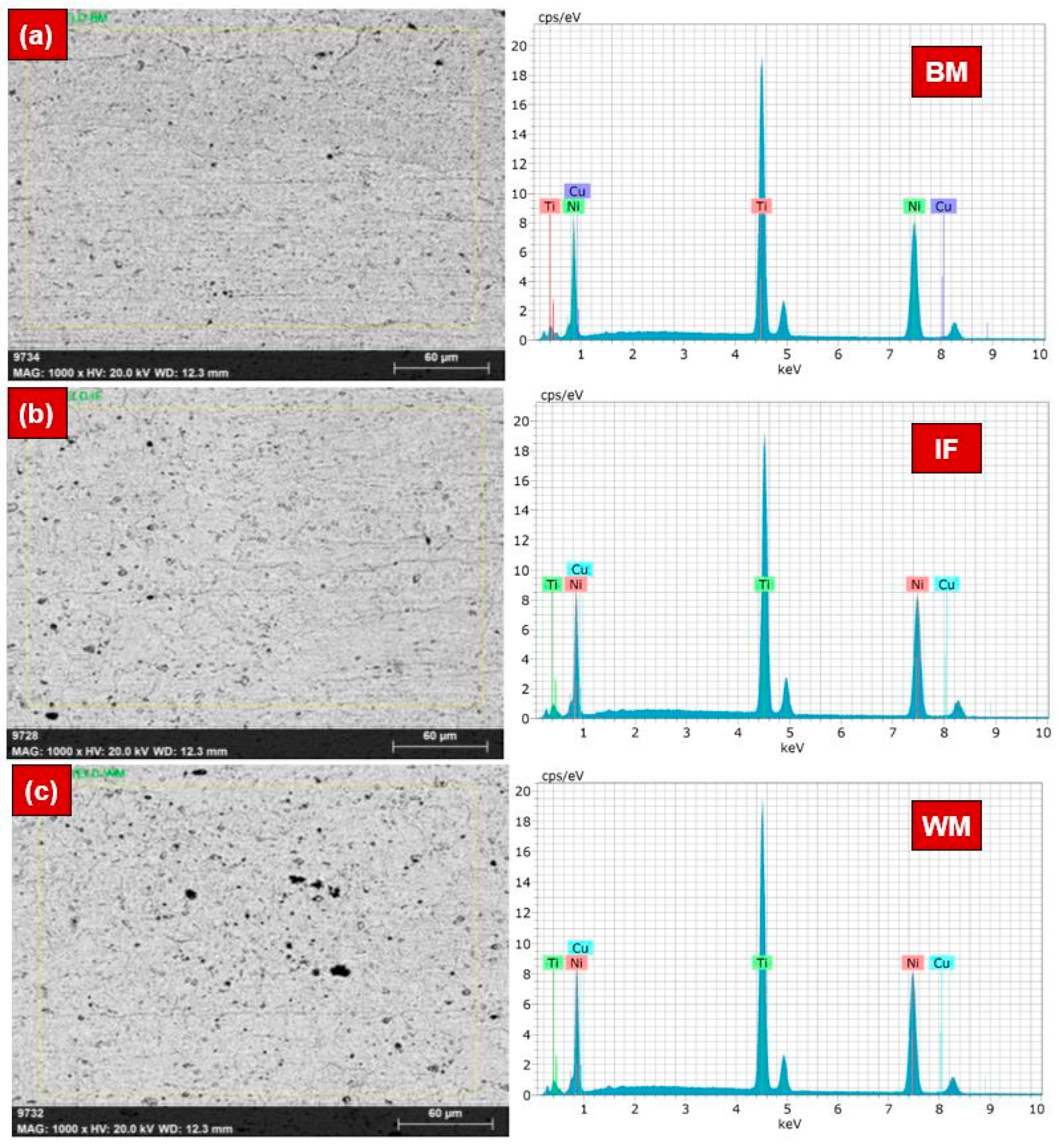 Materials 17 04801 g003