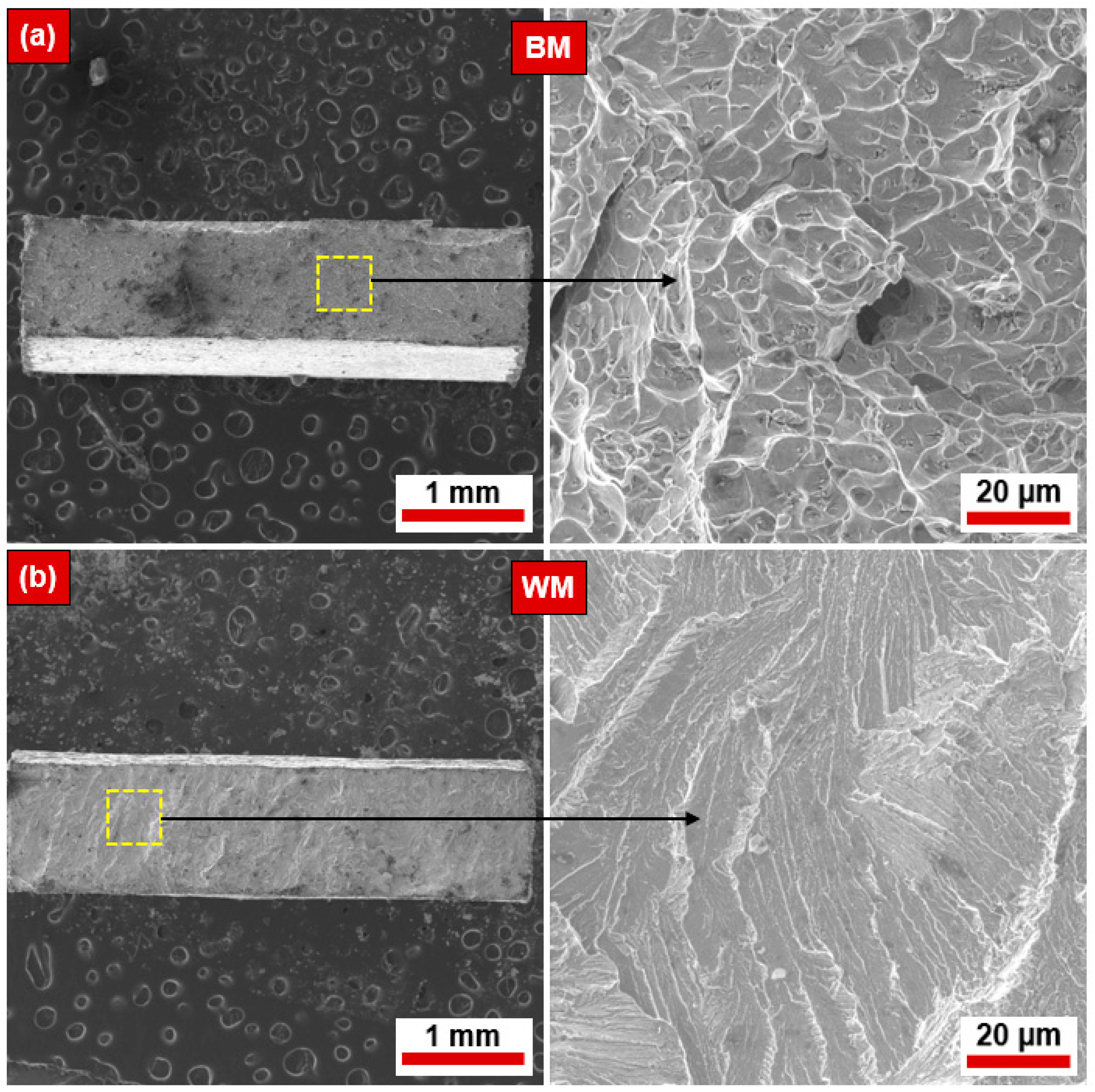 Materials 17 04801 g008