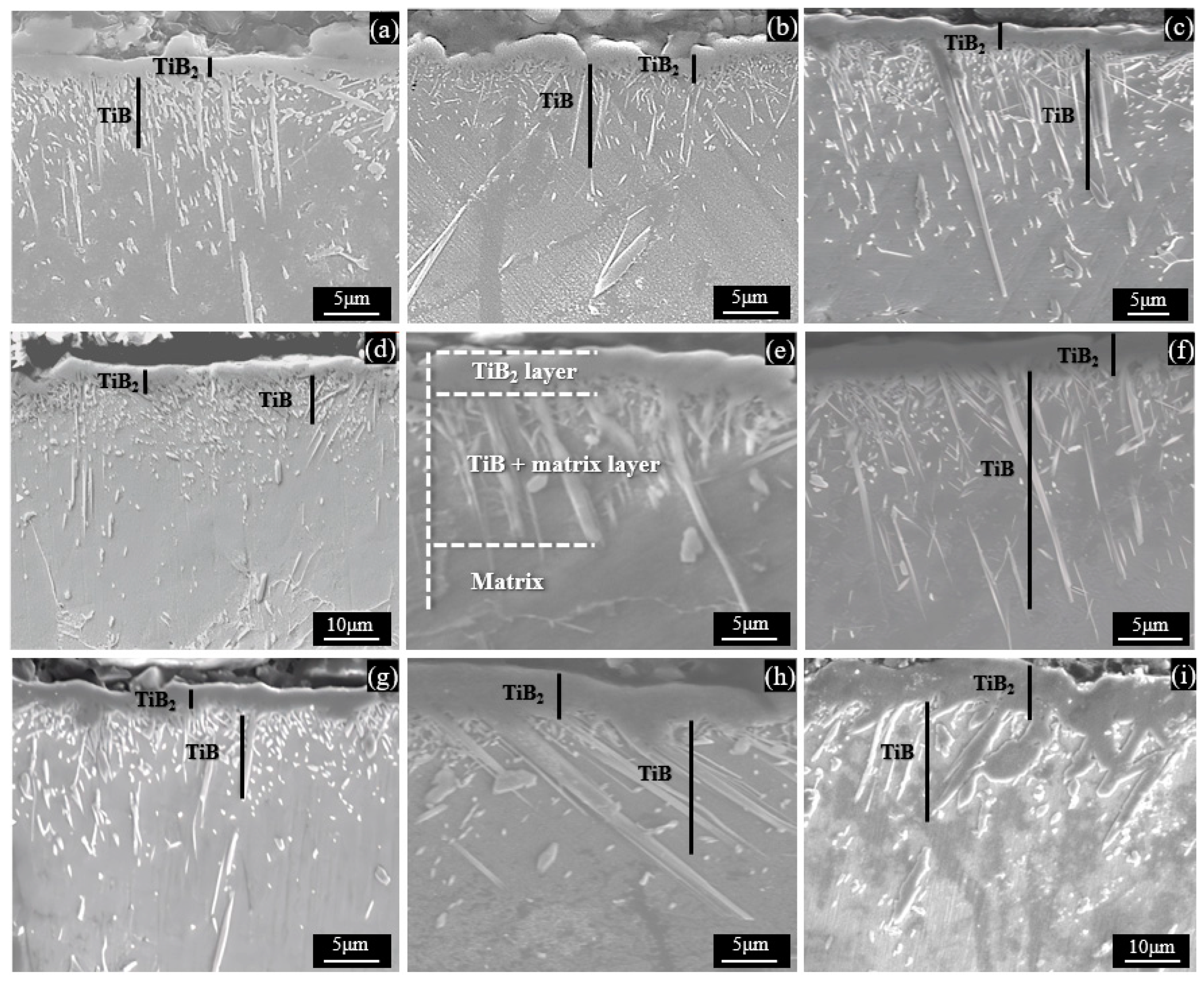 Materials 17 04815 g004