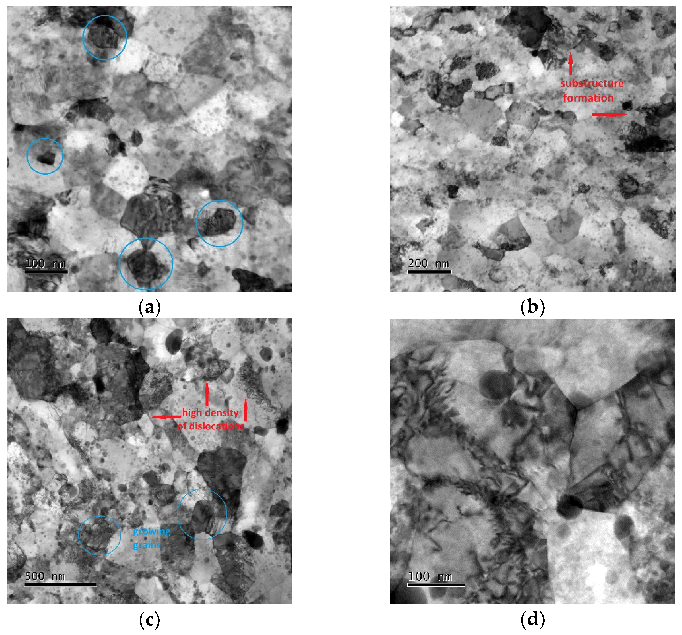 Materials 17 04831 g005