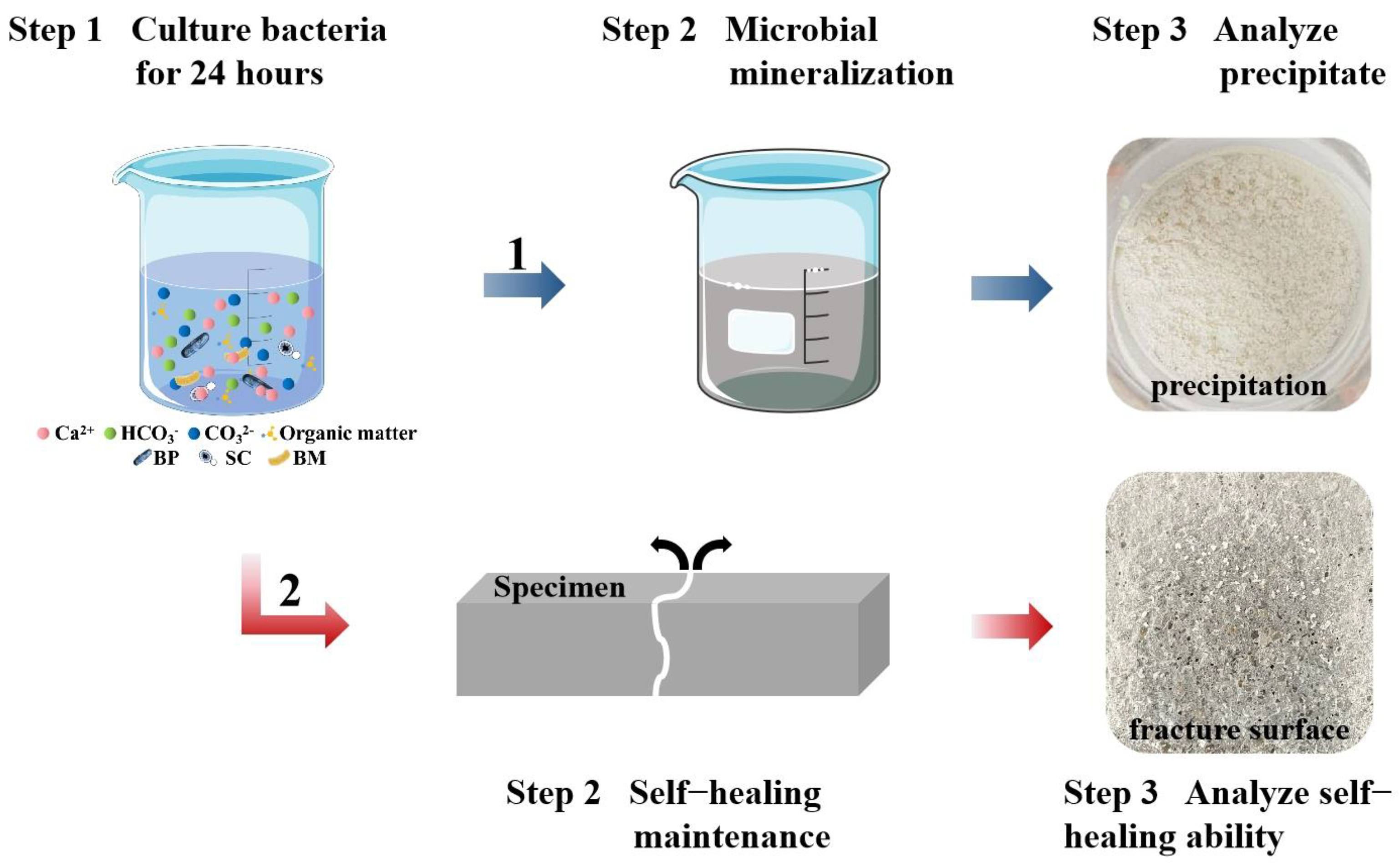 Materials 17 04834 g001