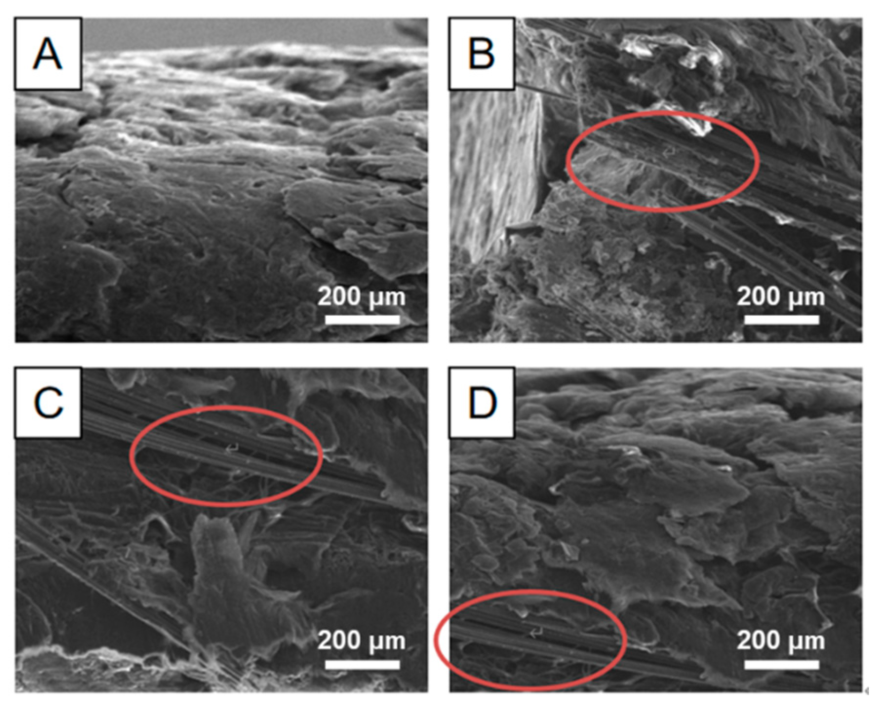 Materials 17 04838 g002