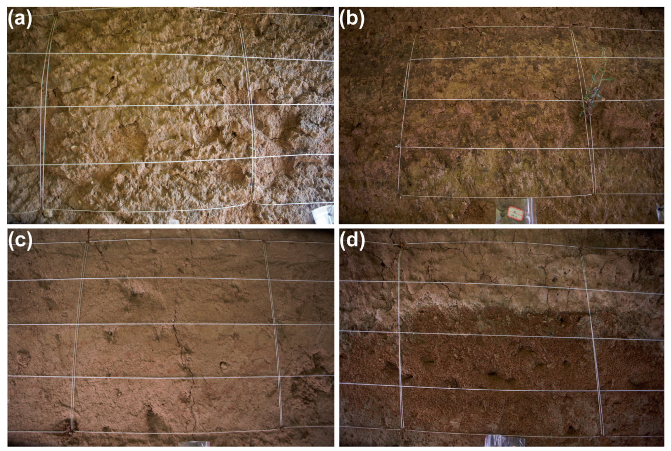 Materials 17 04839 g003