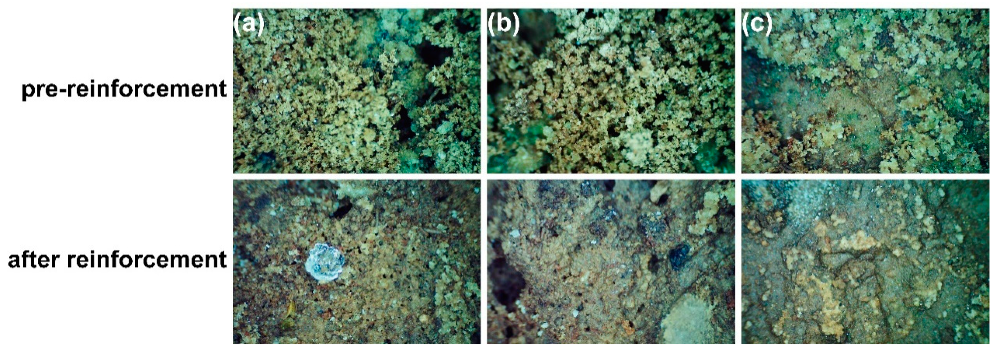 Materials 17 04839 g014