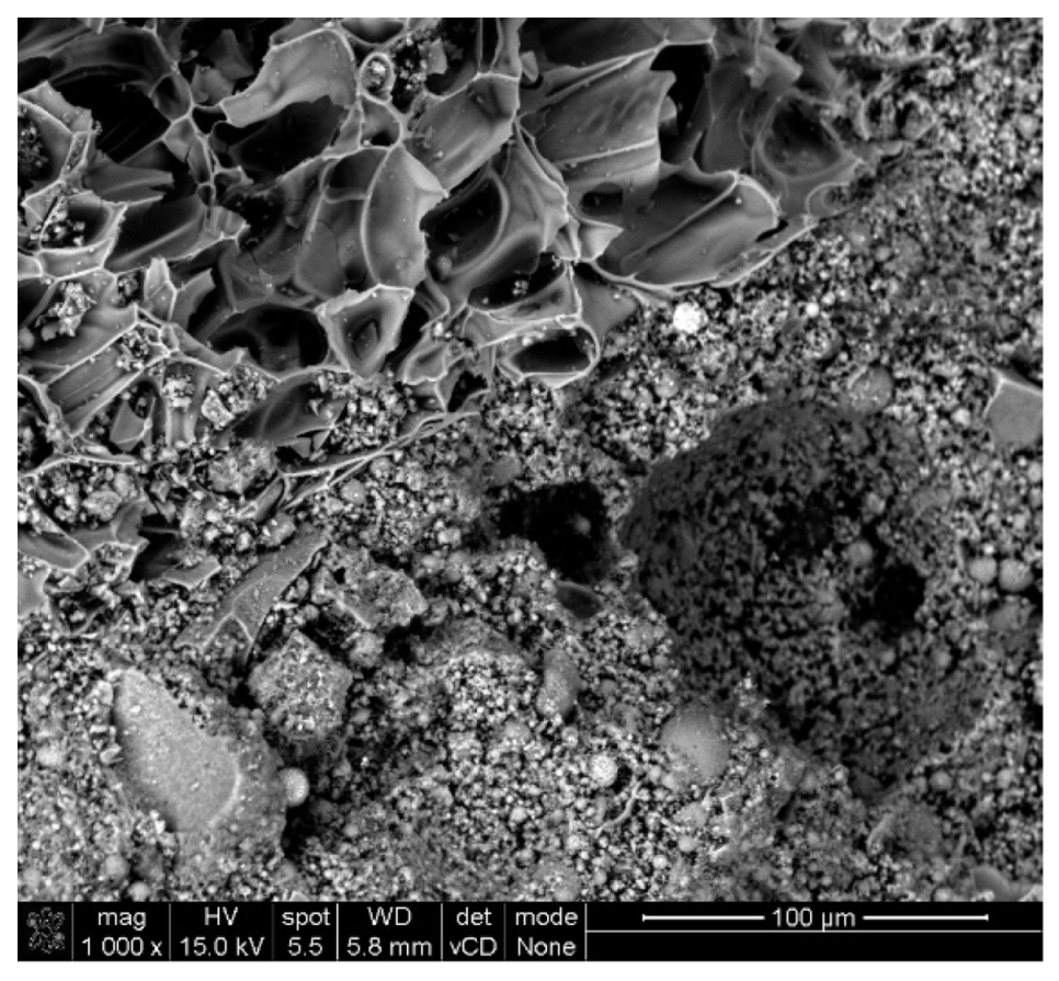 Materials 17 04854 g012