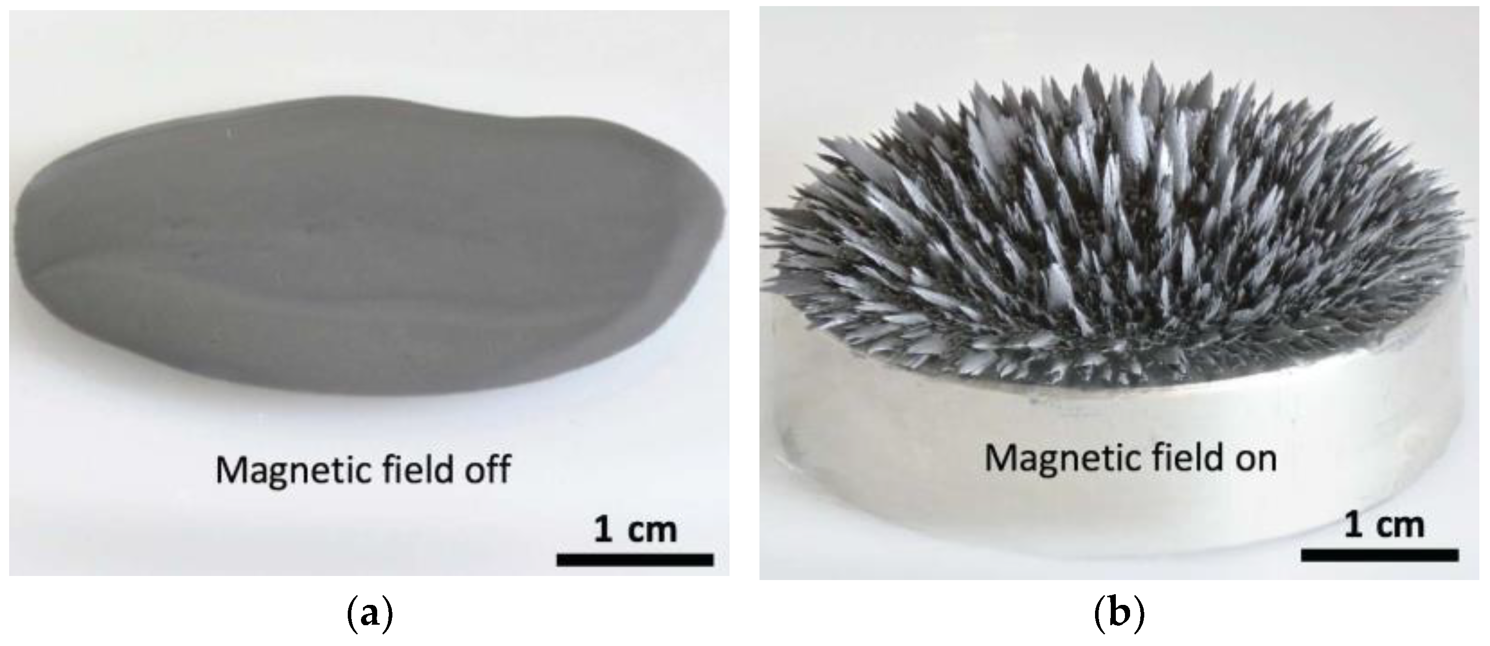 Materials 17 04858 g007a