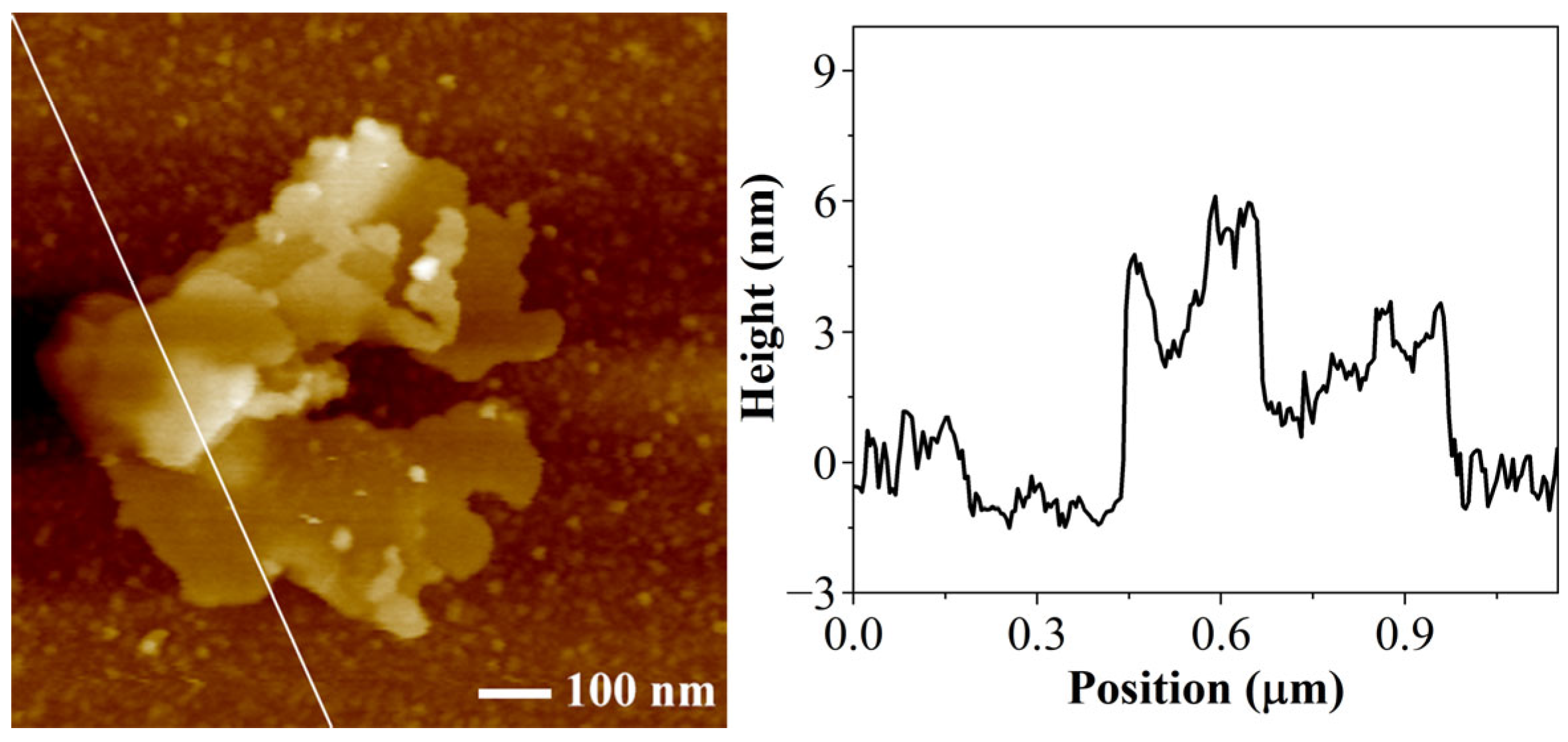 Materials 17 04864 g004