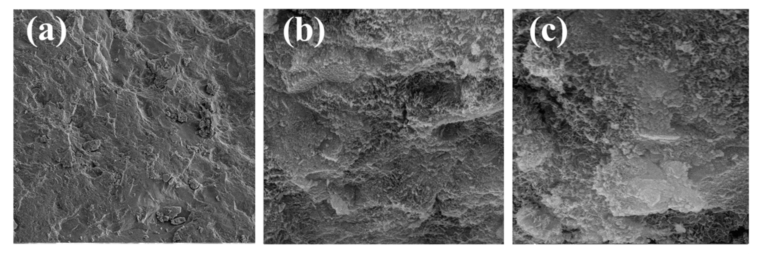 Materials 17 04869 g002