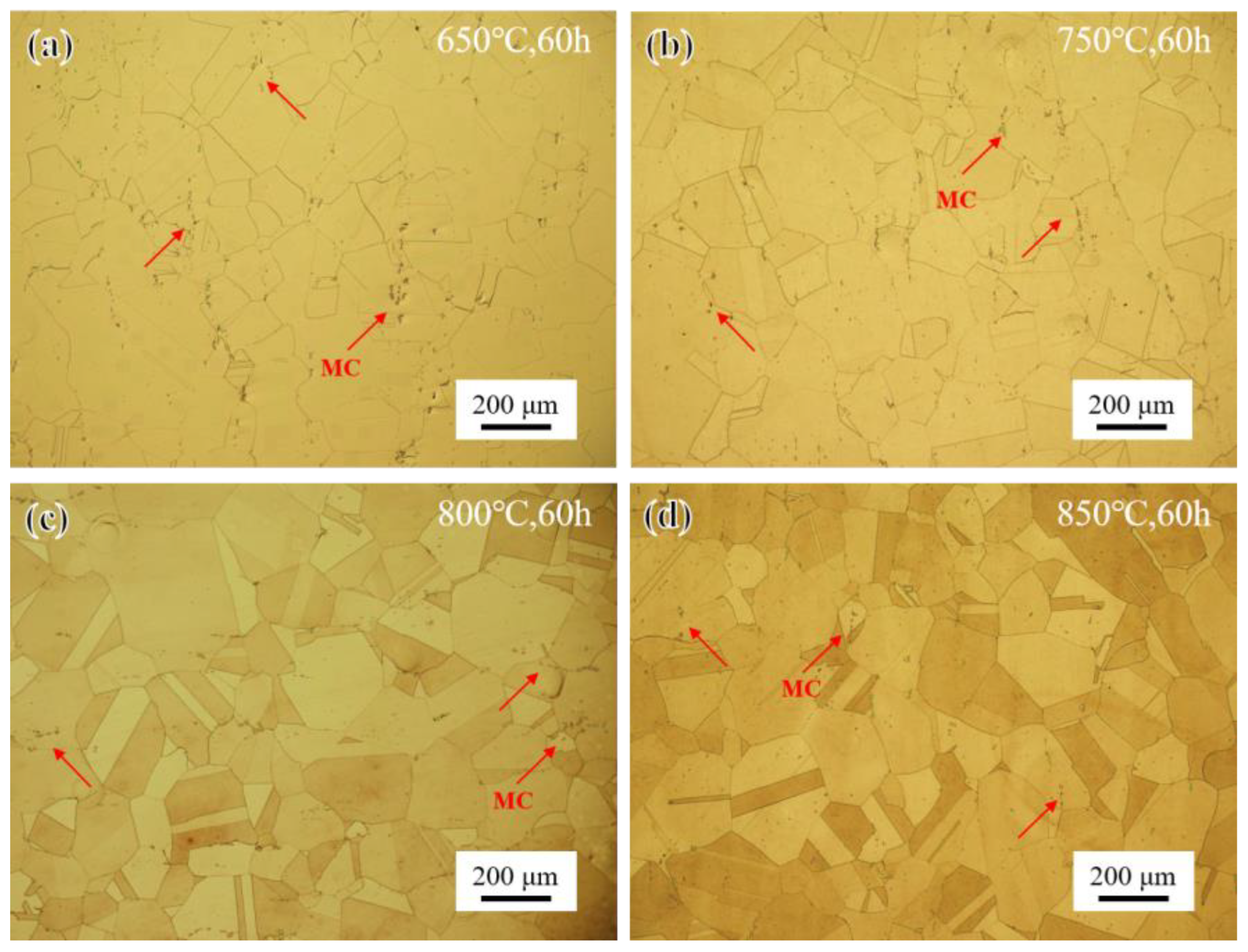 Materials 17 04875 g006