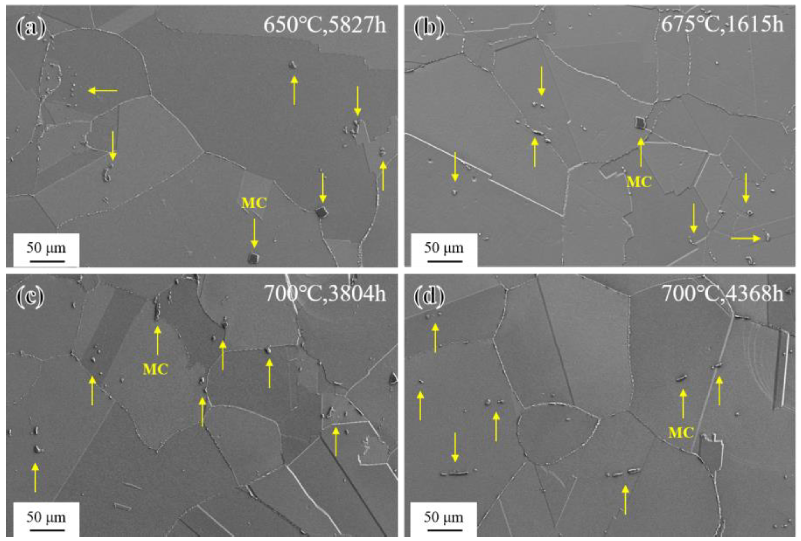 Materials 17 04875 g012