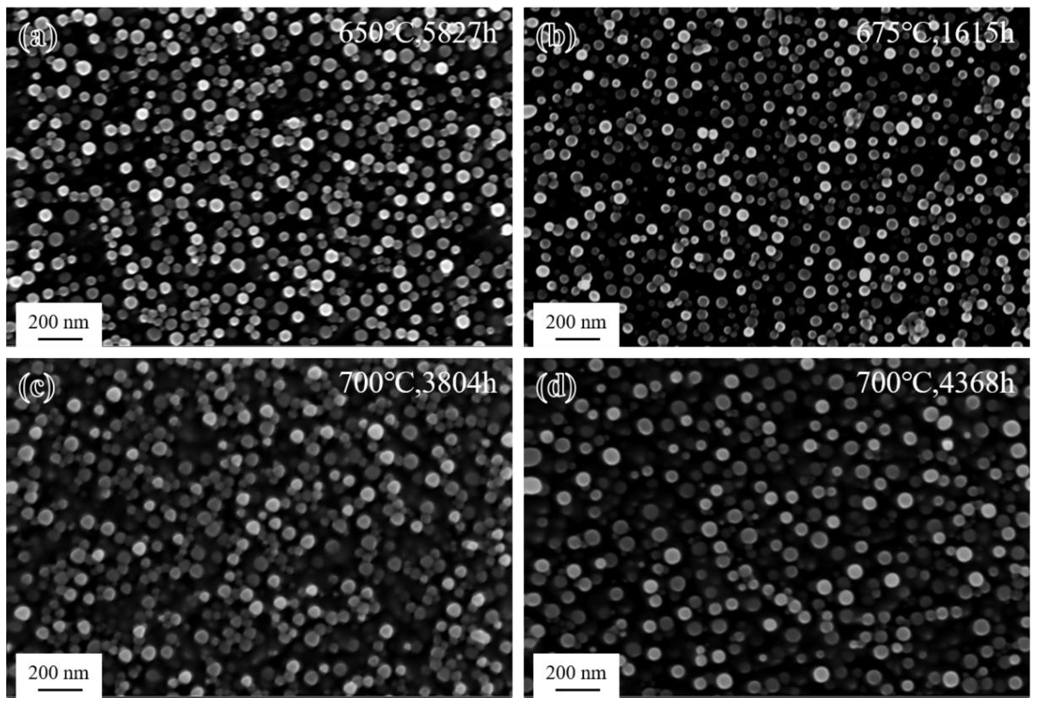 Materials 17 04875 g015