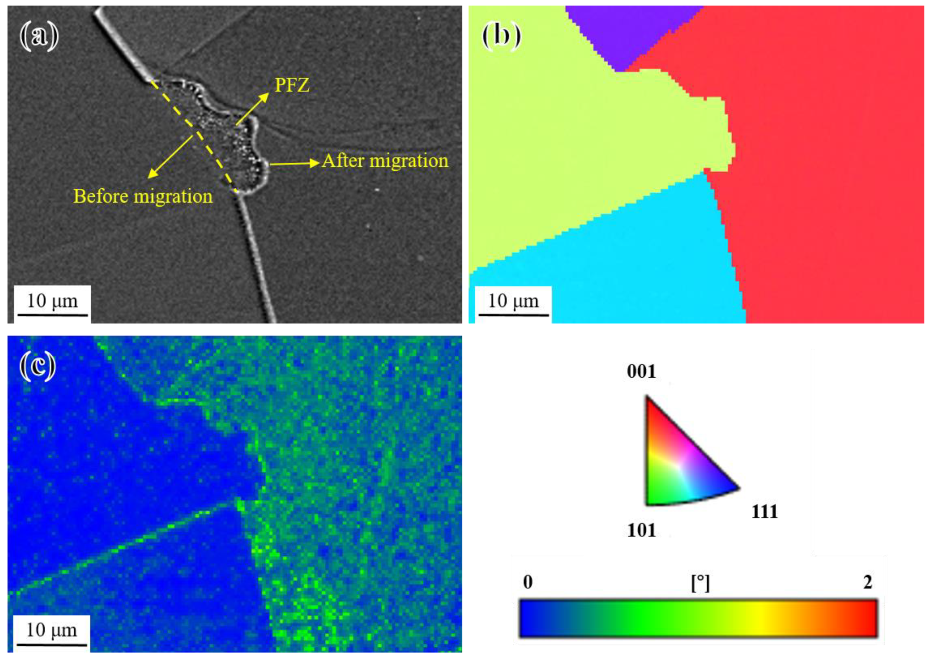 Materials 17 04875 g020