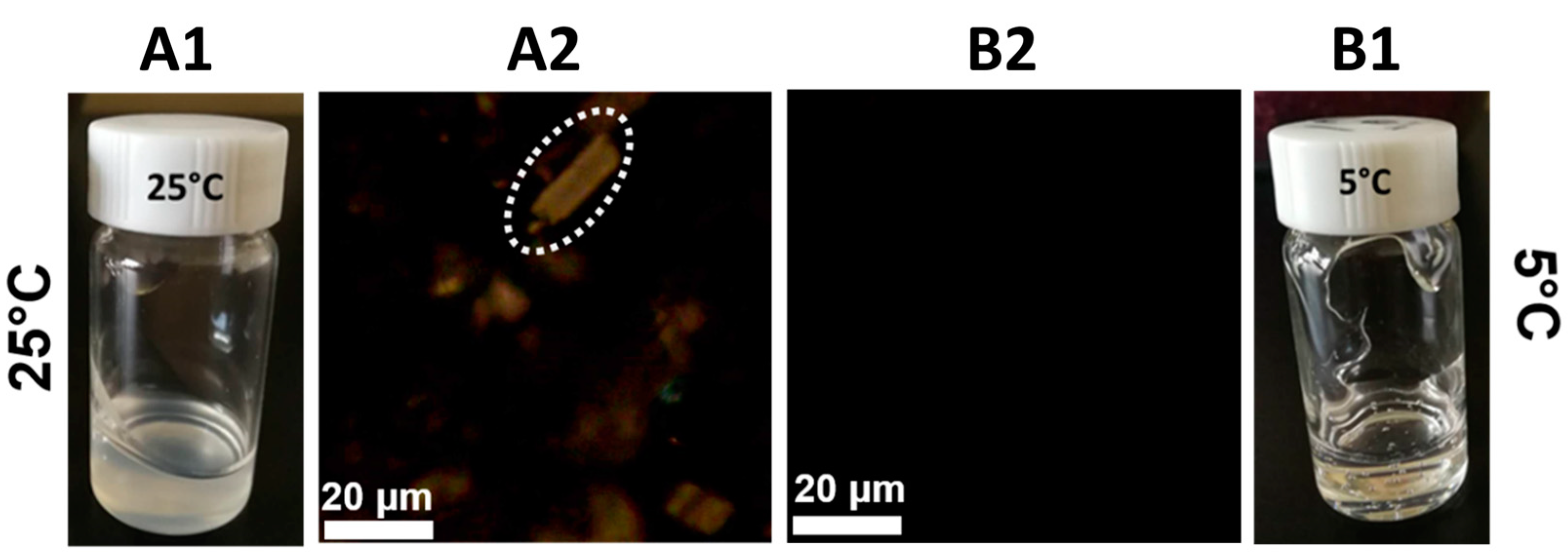 Materials 17 04886 g001 Materials 17 04886 g001