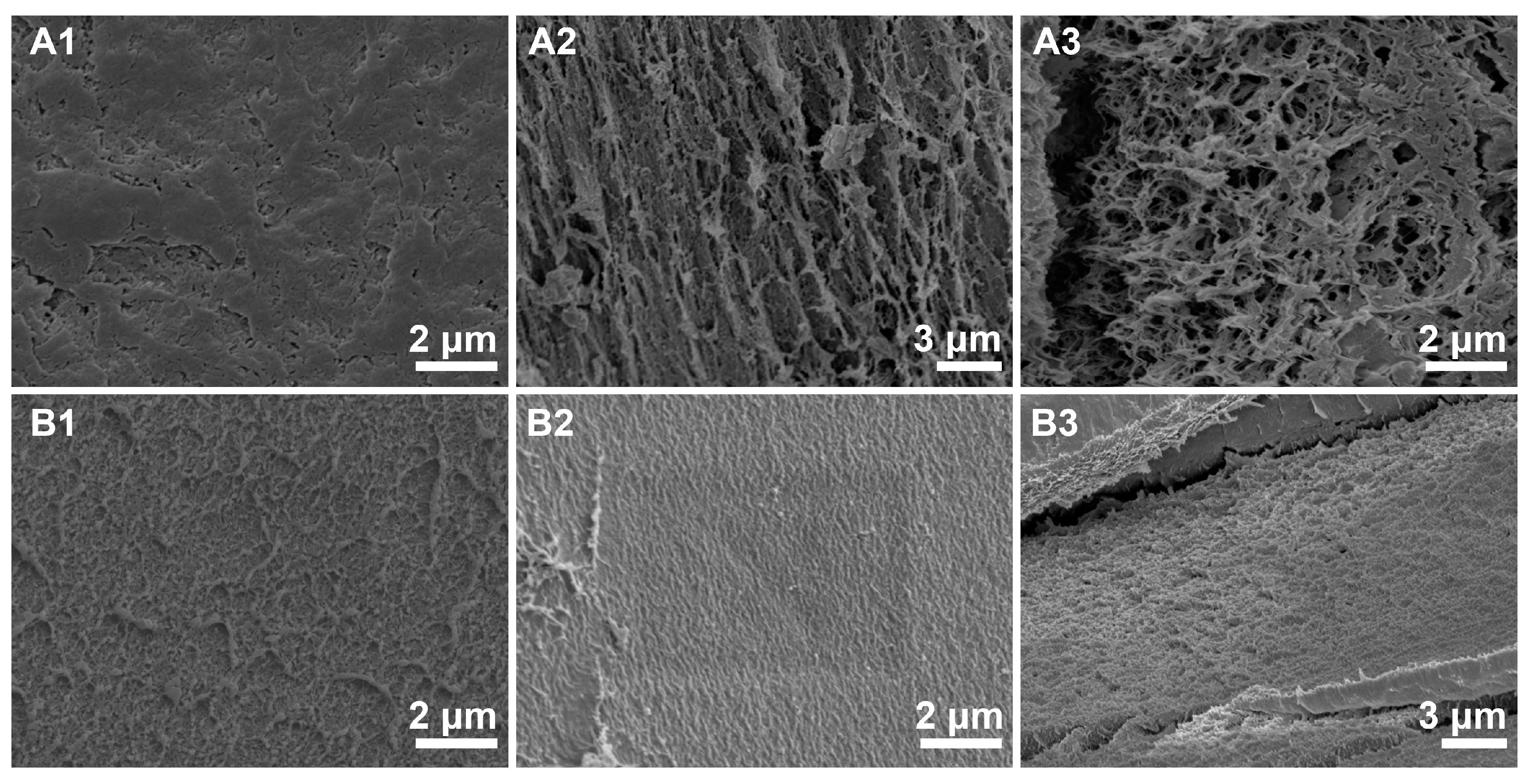 Materials 17 04886 g006 Materials 17 04886 g006