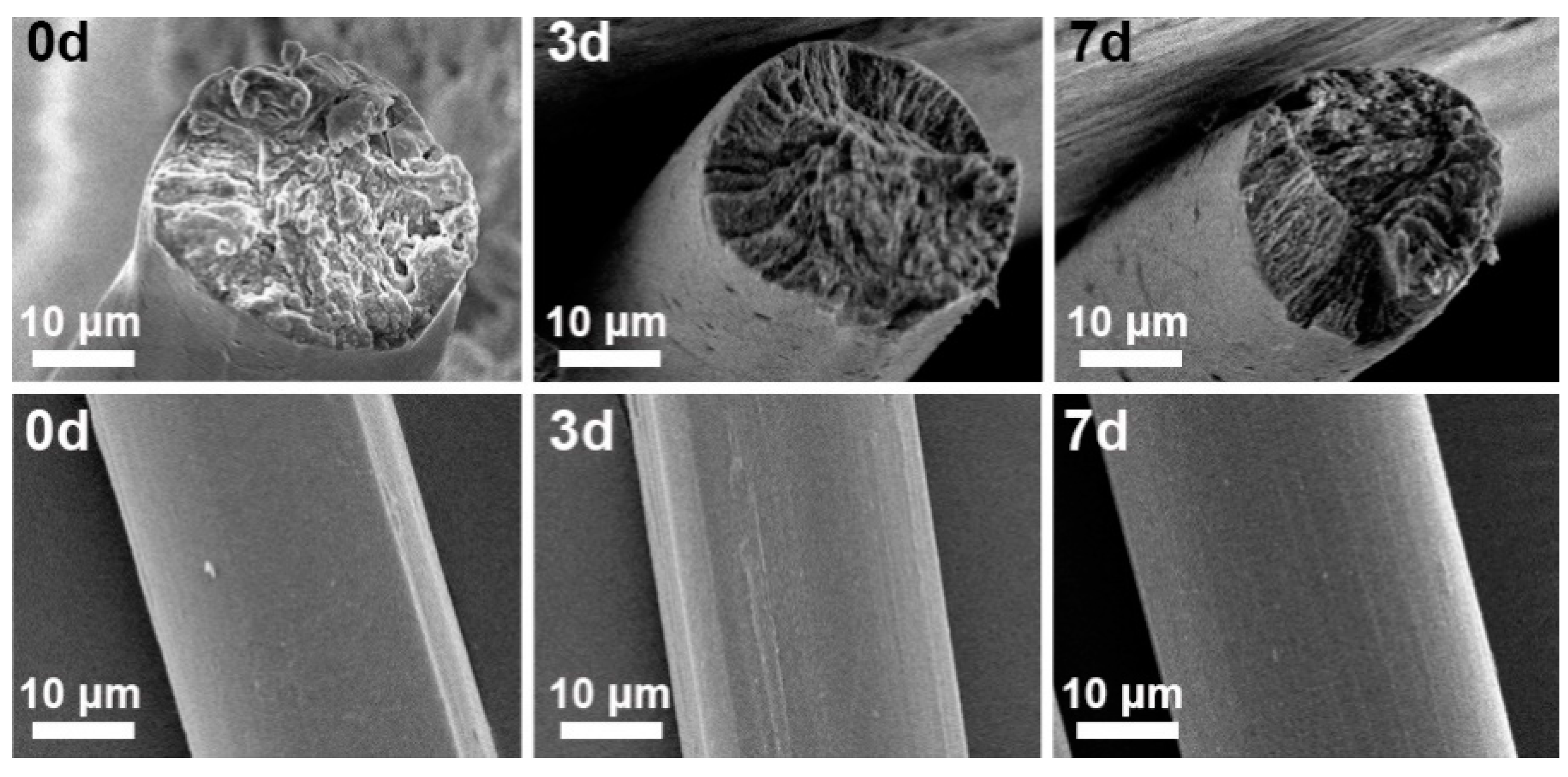 Materials 17 04886 g008 Materials 17 04886 g008