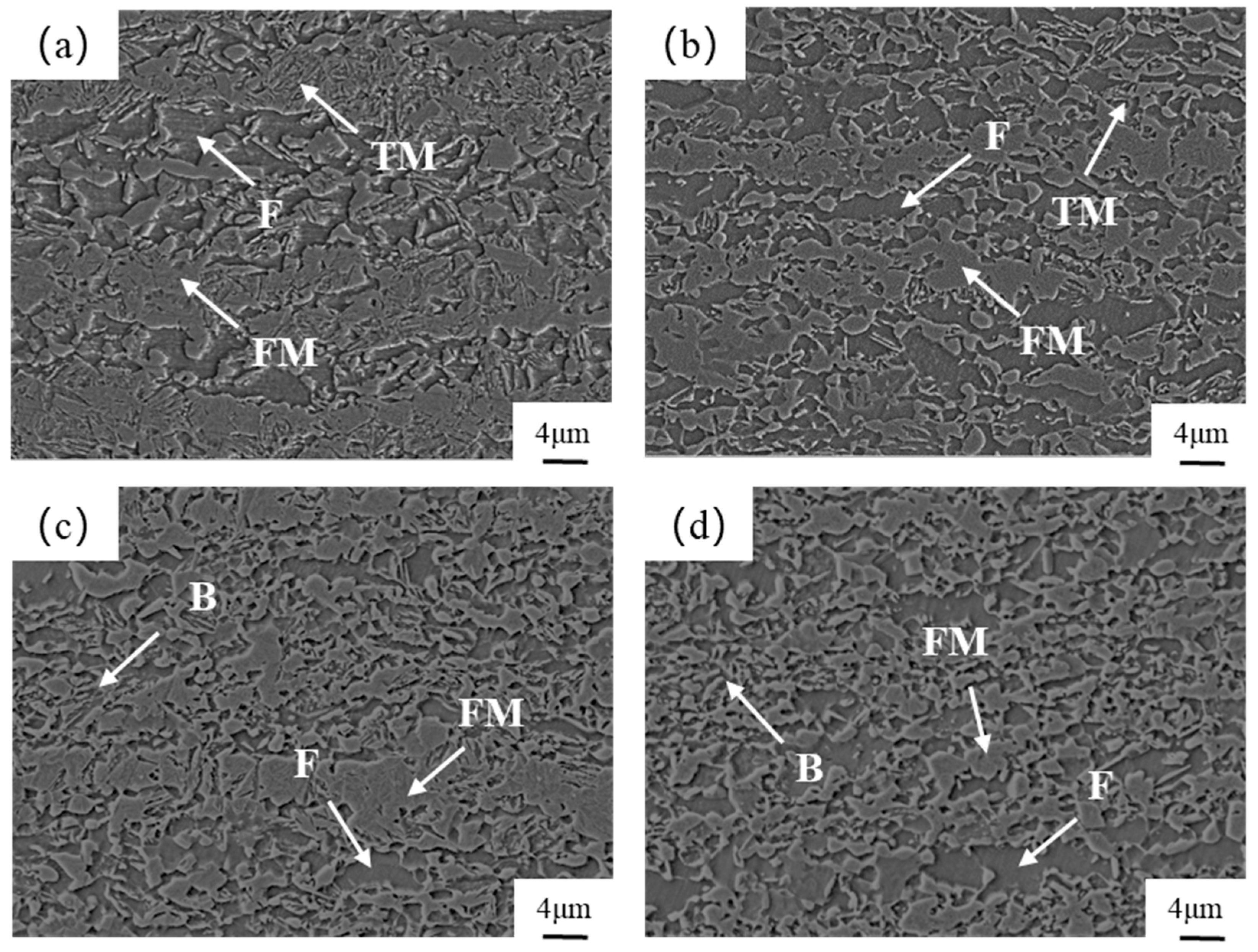 Materials 17 04933 g002
