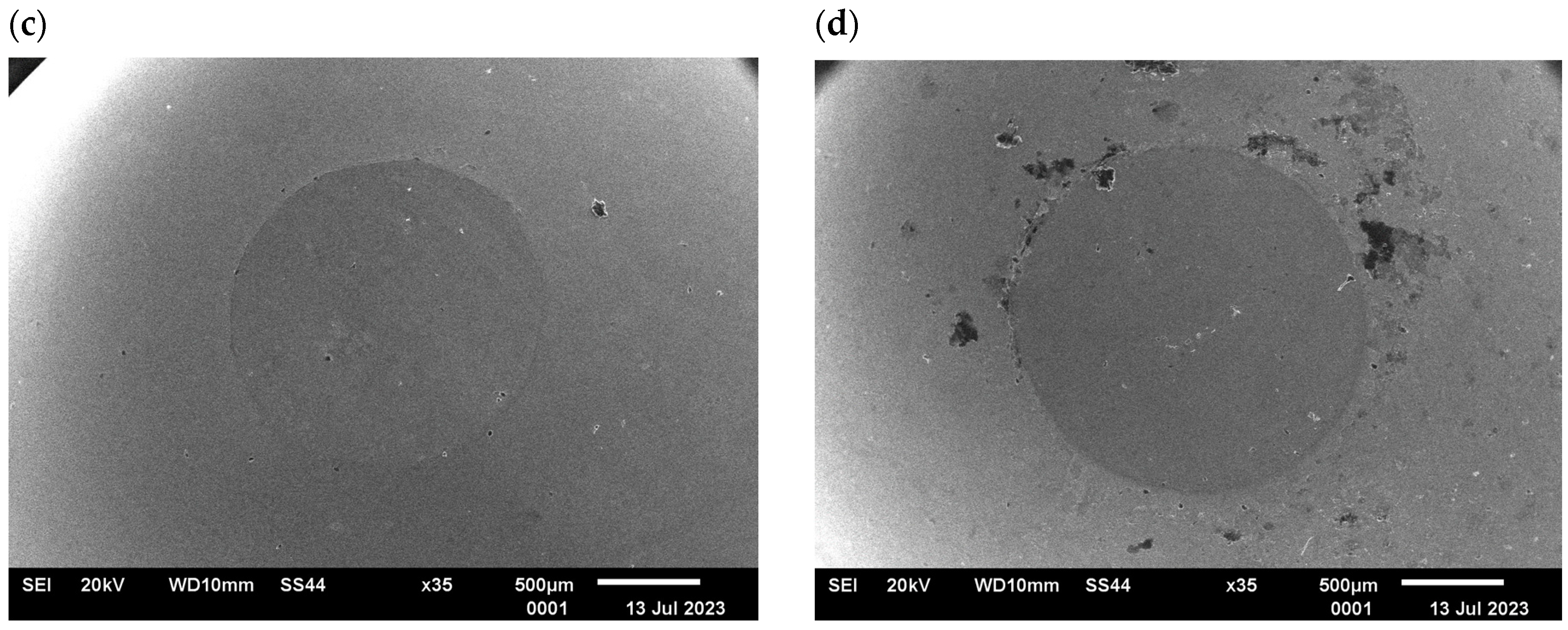 Materials 17 04949 g019b