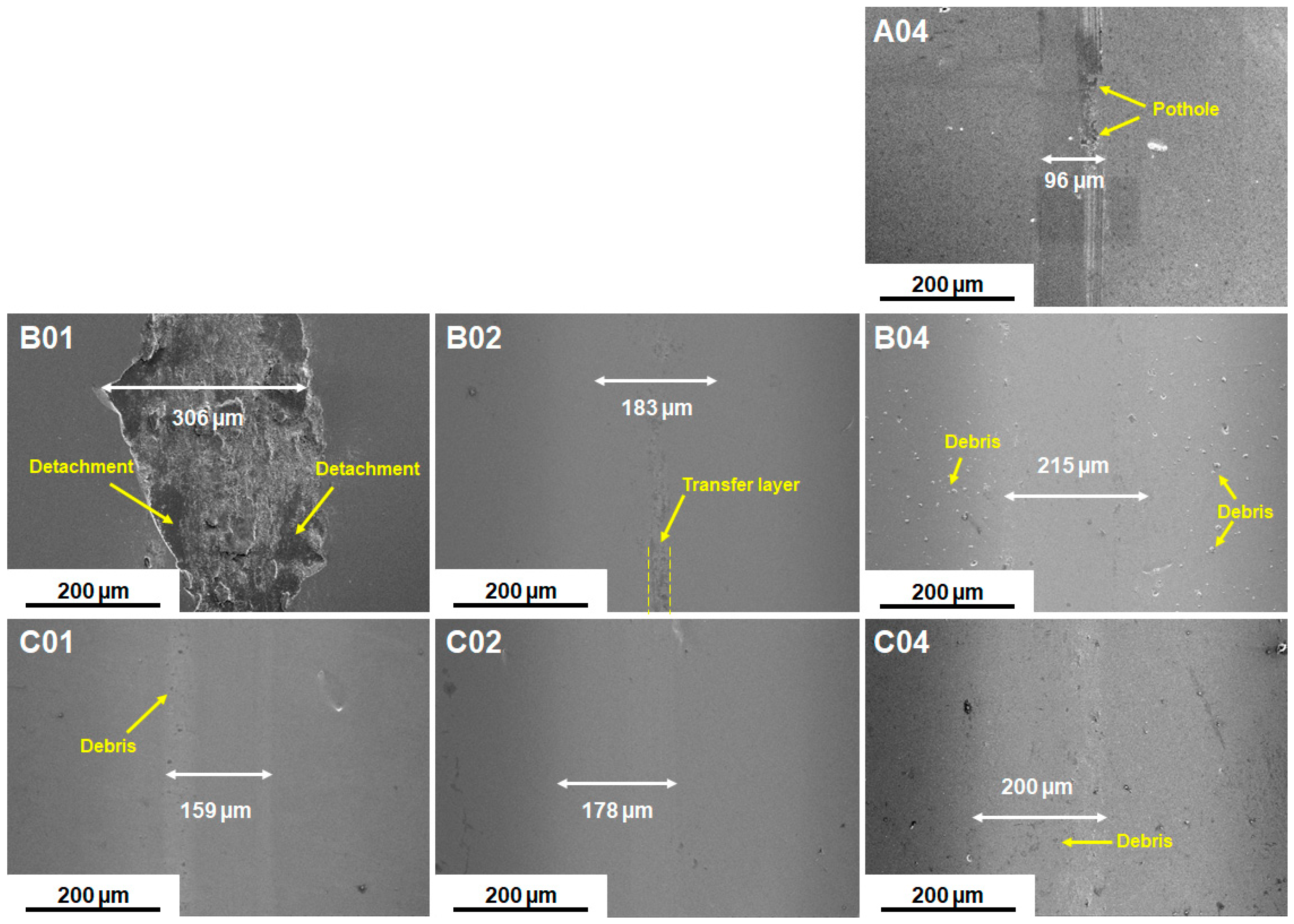 Materials 17 04962 g007