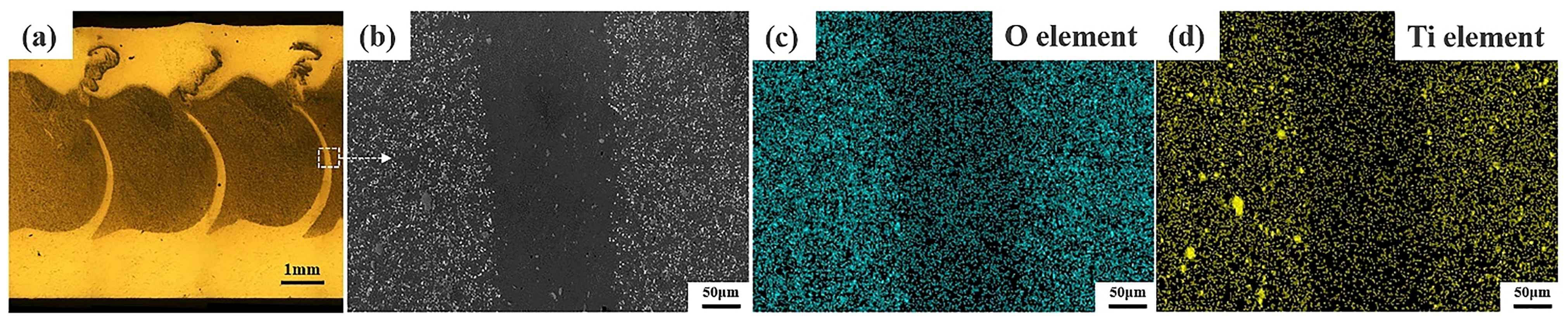 Materials 17 04981 g013