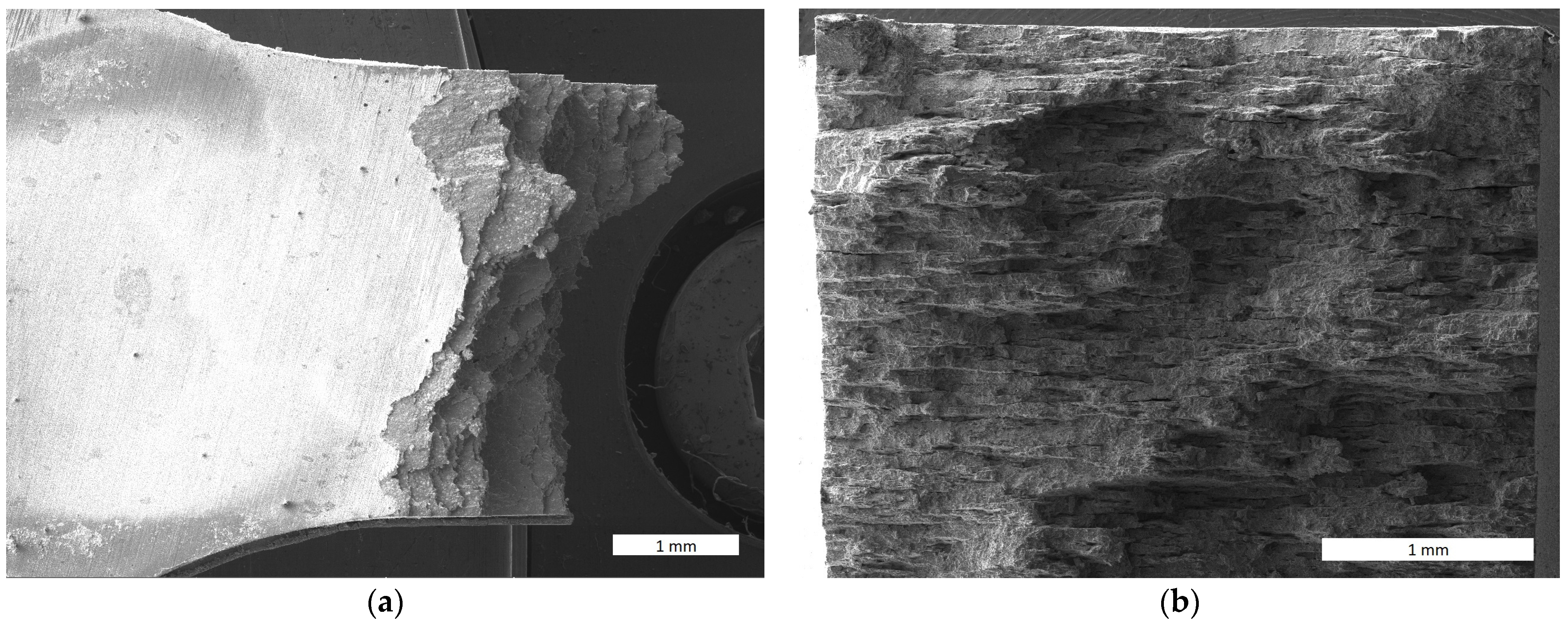 Materials 17 04984 g010