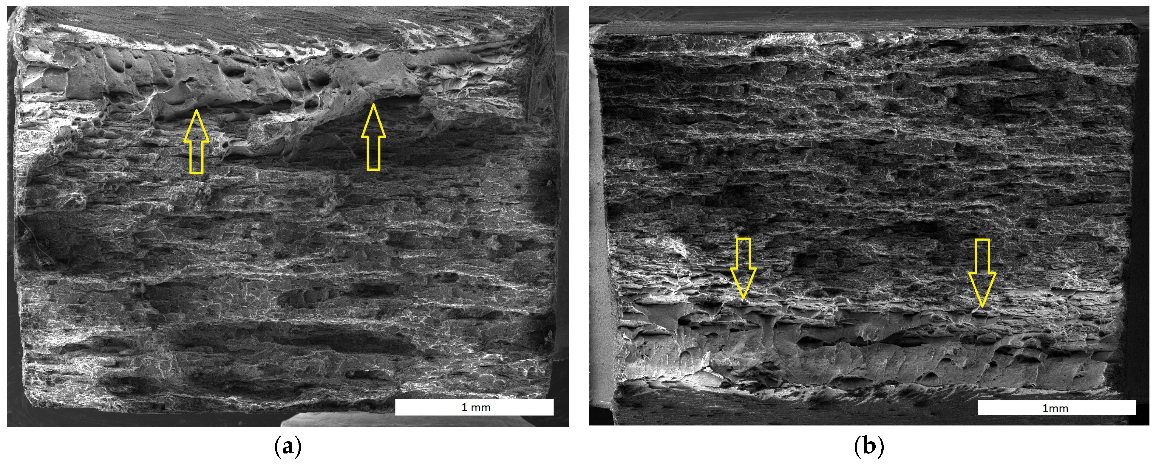 Materials 17 04984 g011