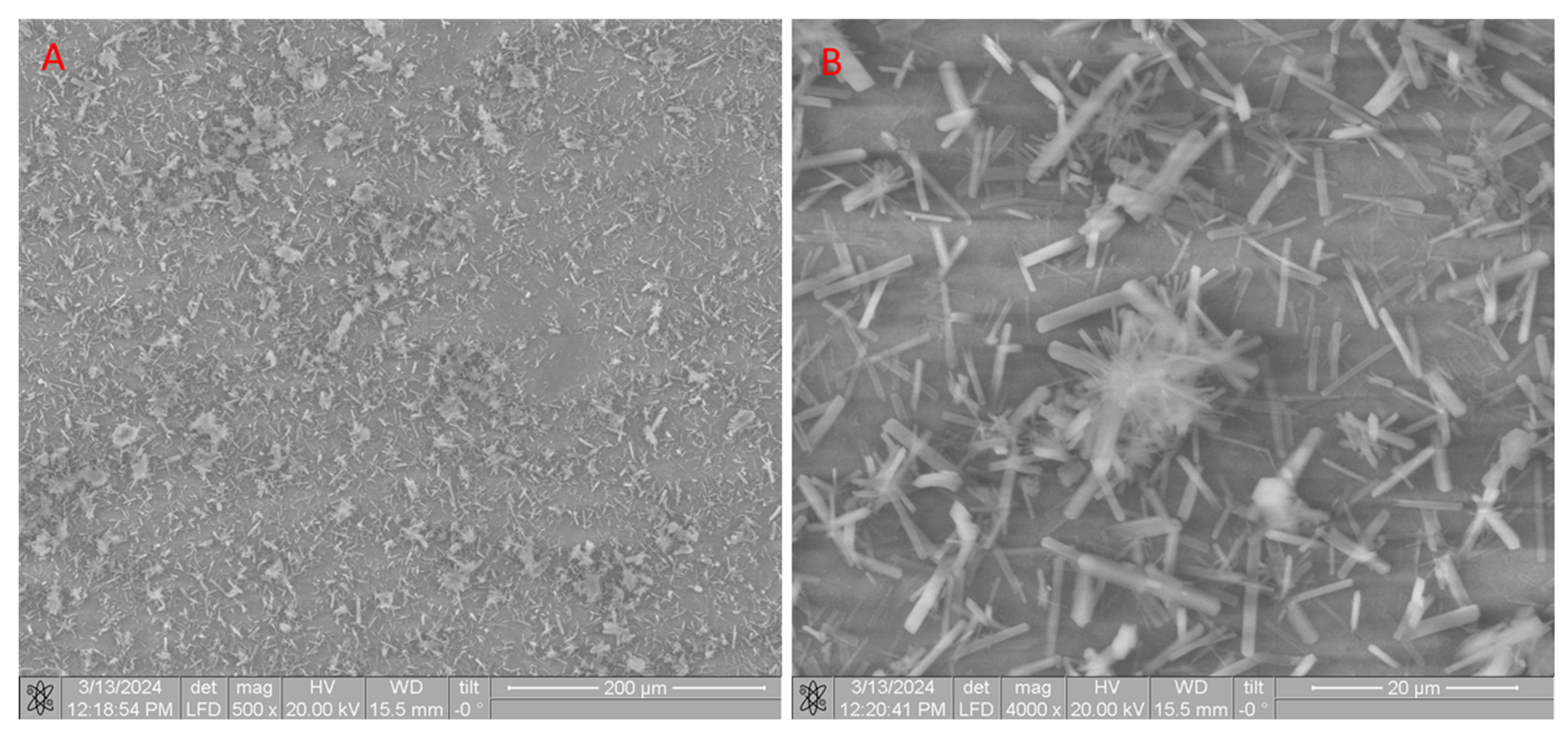 Materials 17 04995 g010