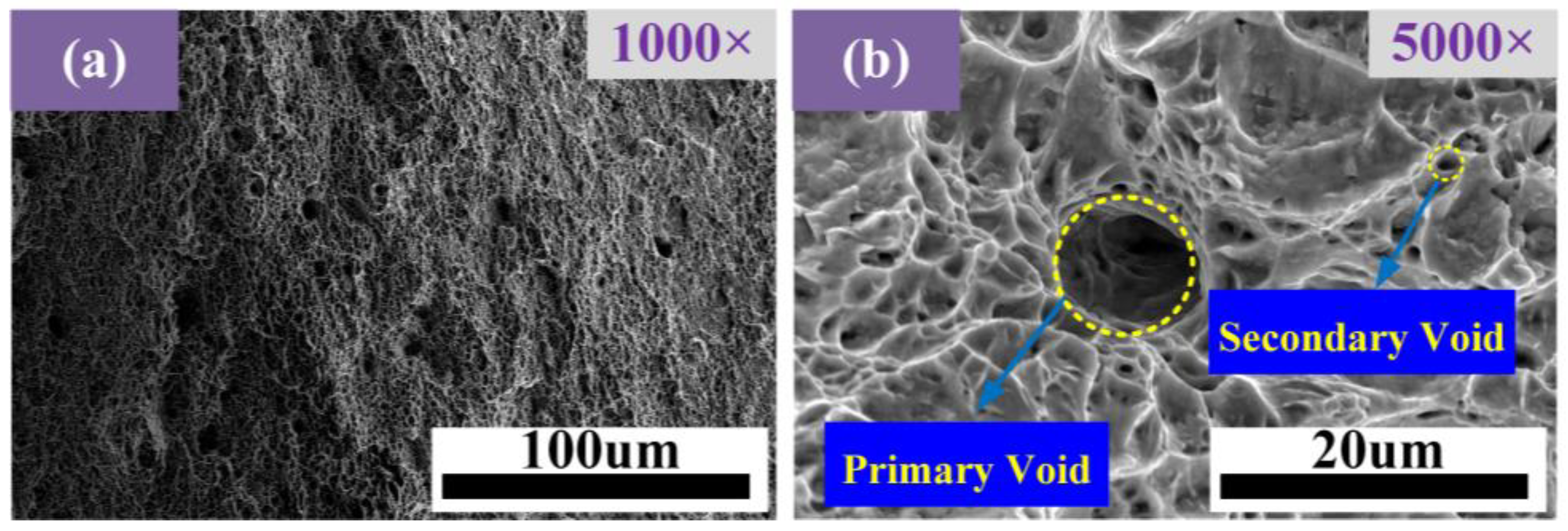 Materials 17 05070 g010