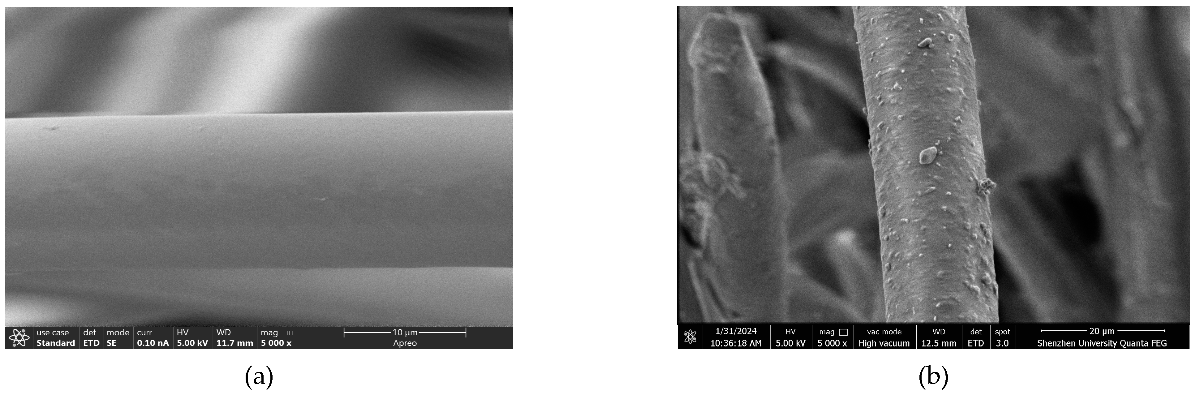 Materials 17 05126 g004