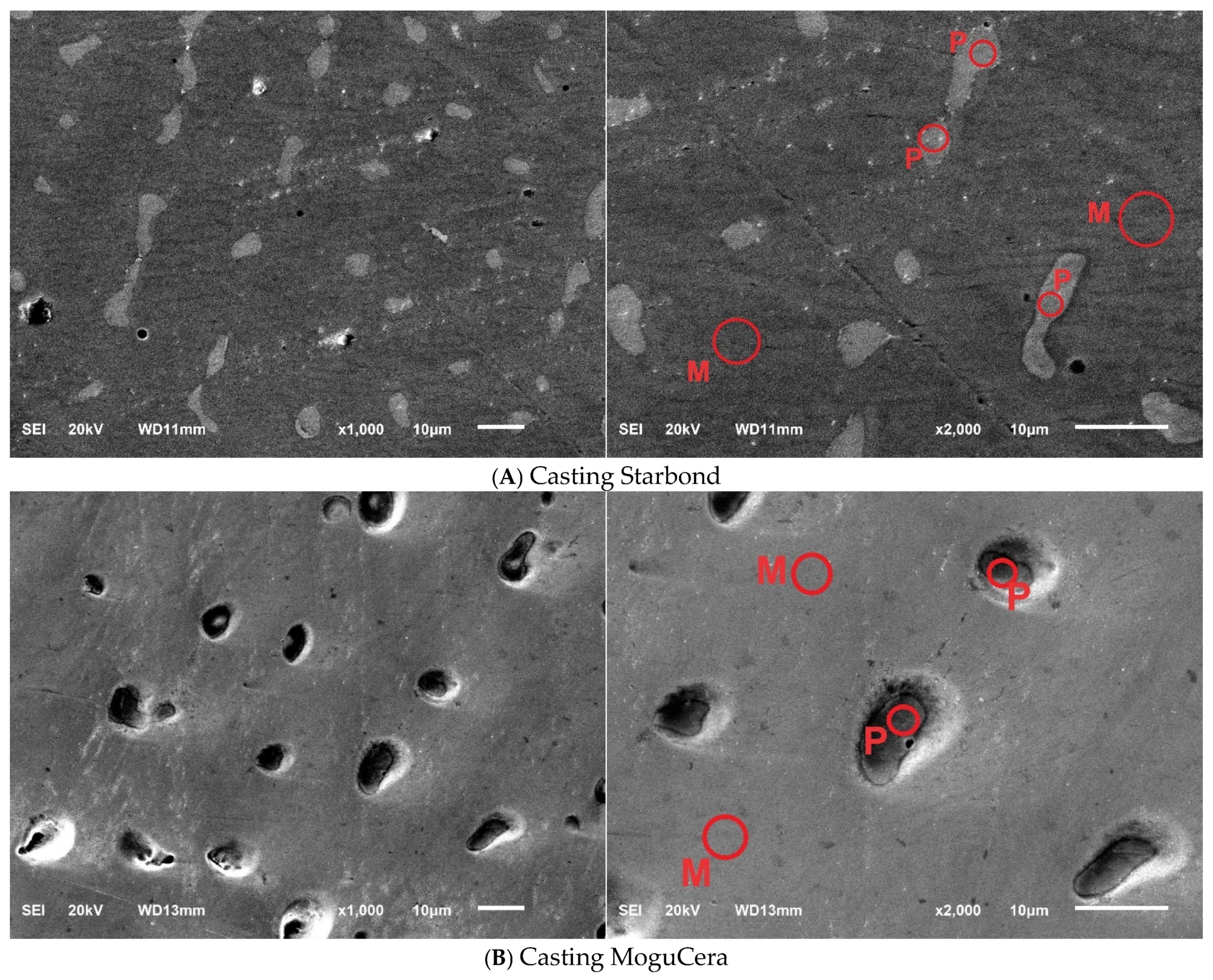Materials 17 05313 g001a Materials 17 05313 g001a