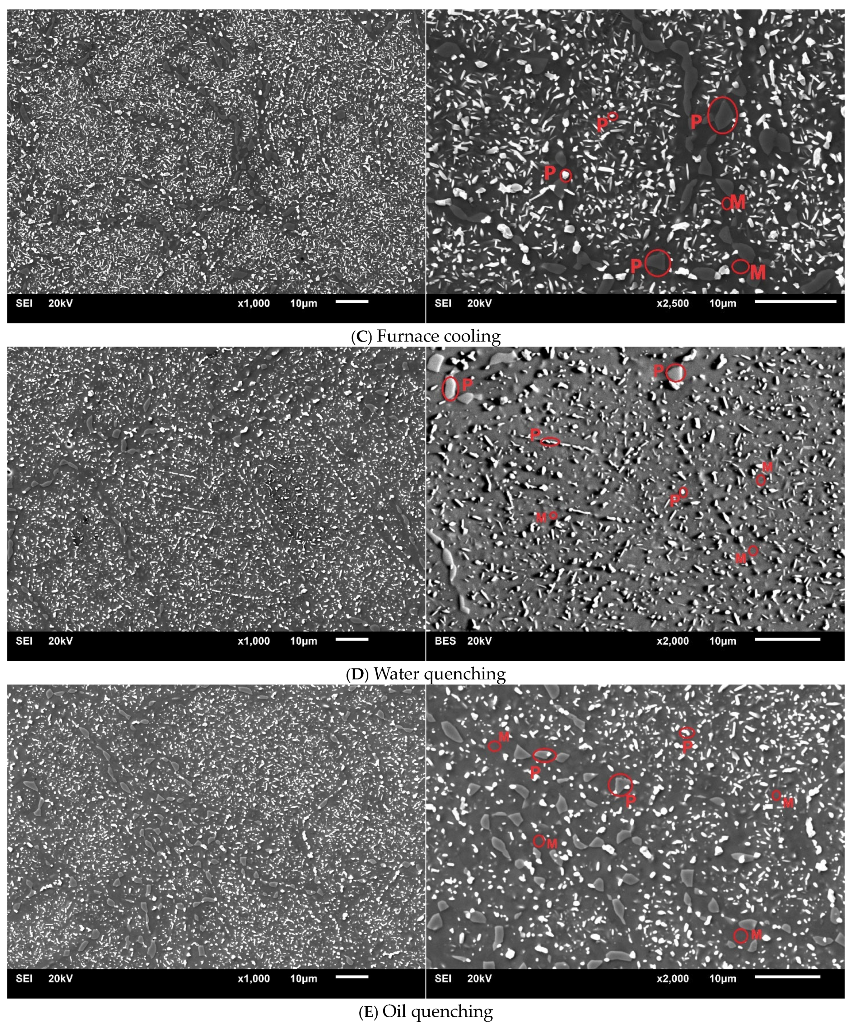 Materials 17 05313 g001b Materials 17 05313 g001b