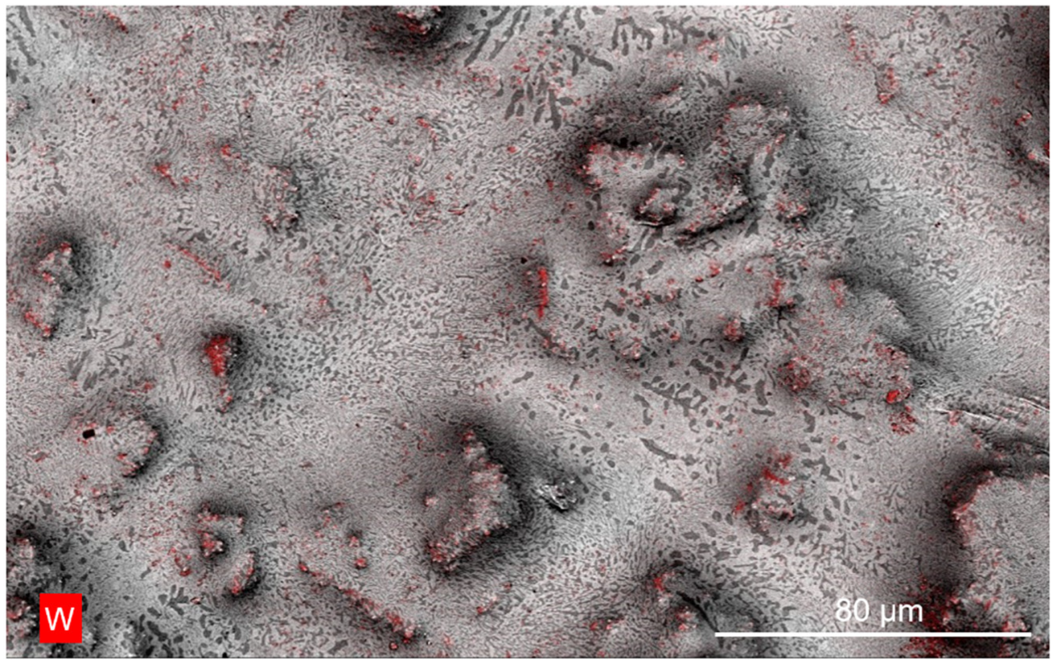 Materials 17 05315 g002