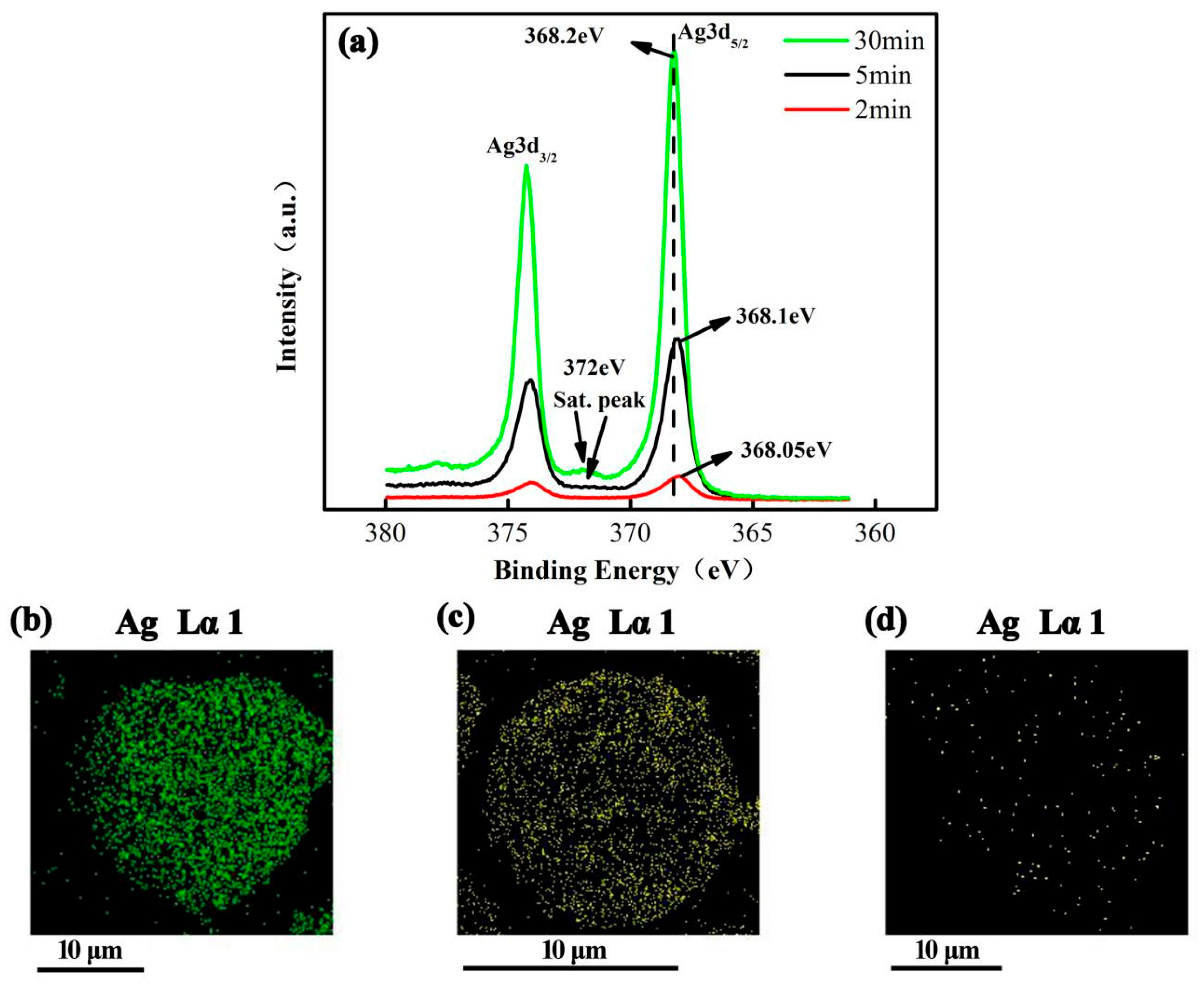 Materials 17 05322 g005