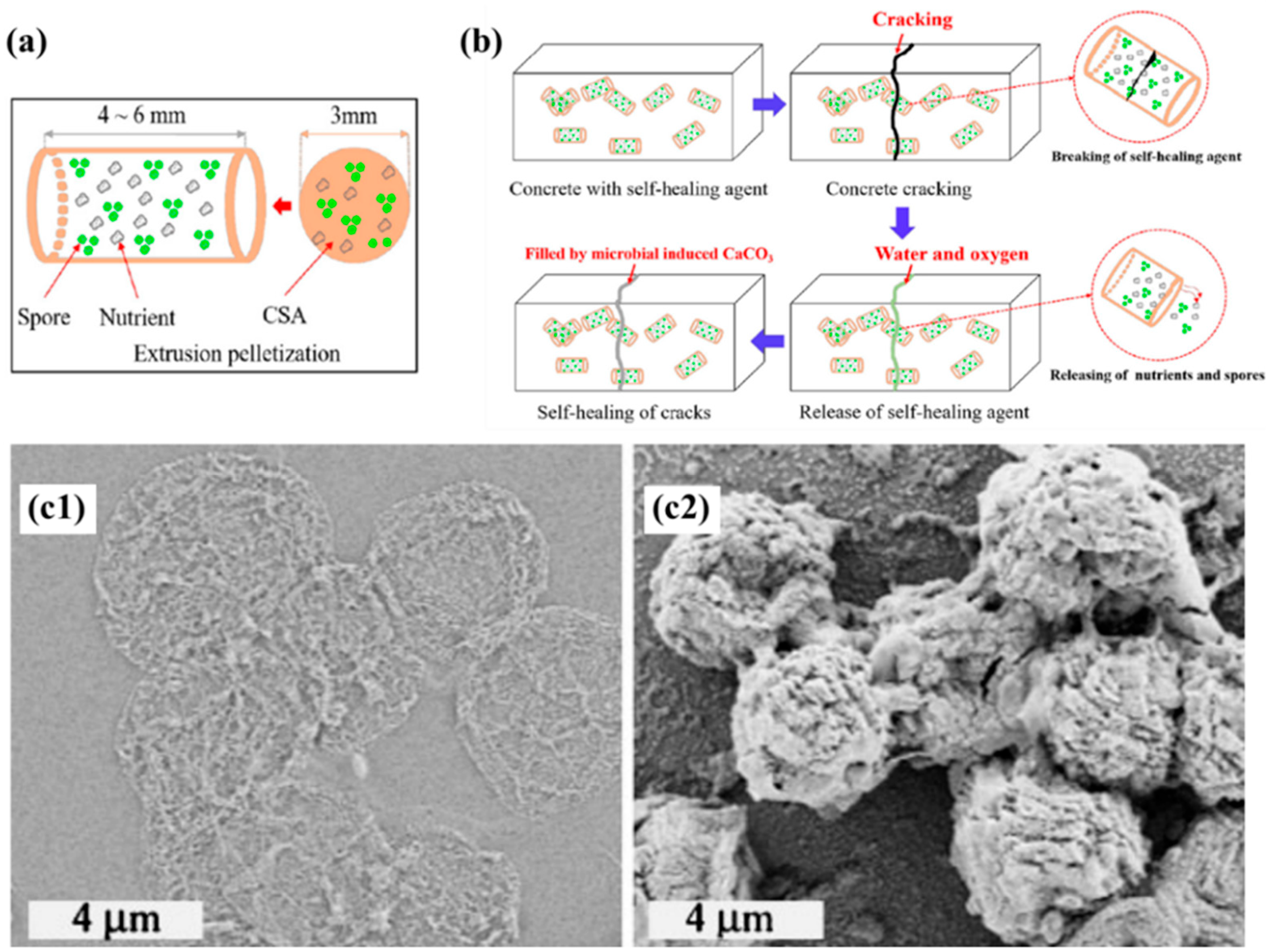 Materials 17 05420 g009