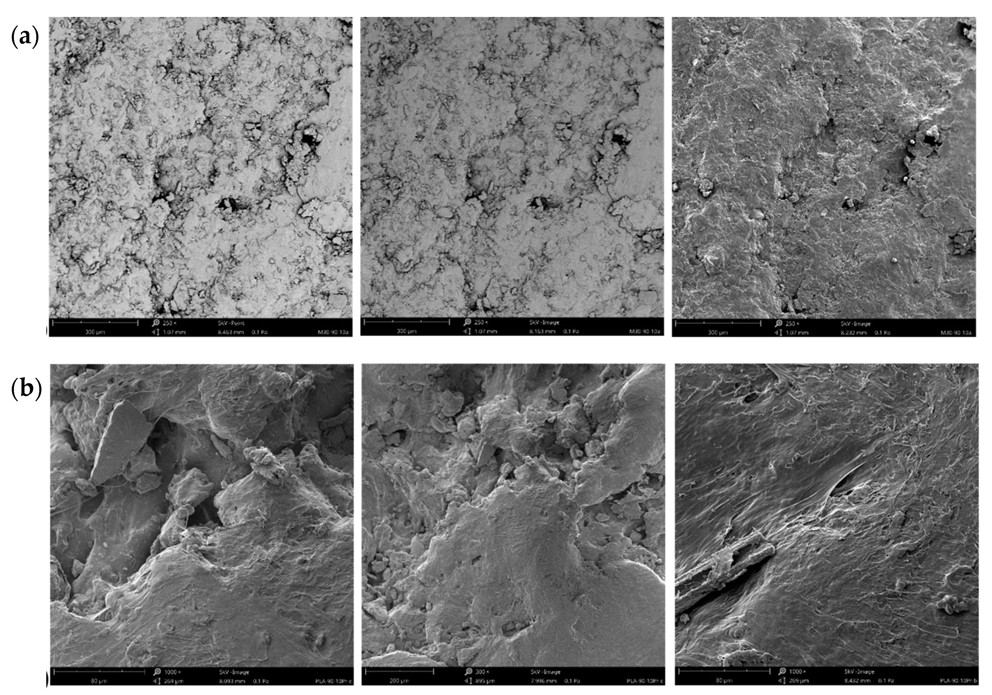 Materials 17 05472 g005