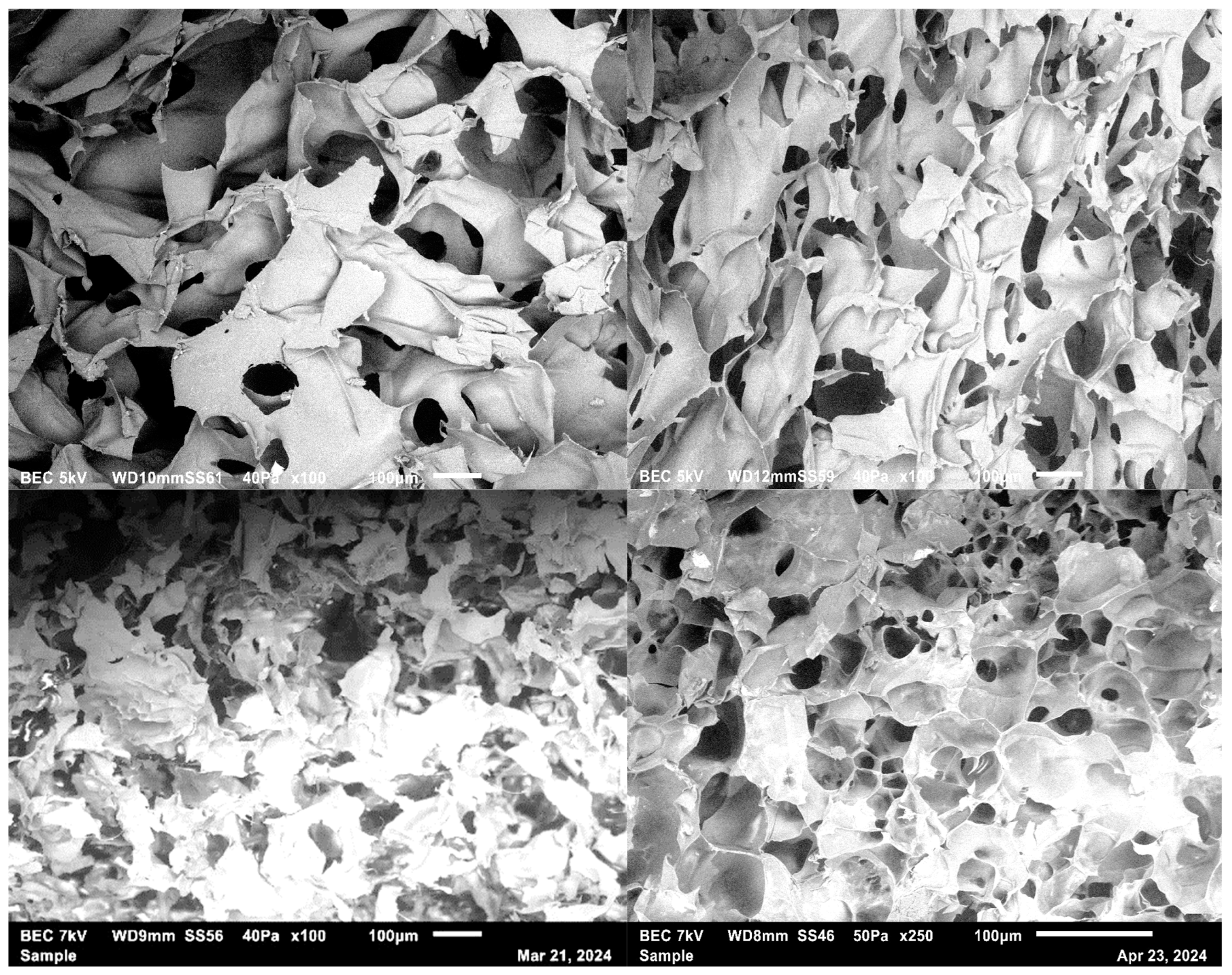 Materials 17 05577 g002