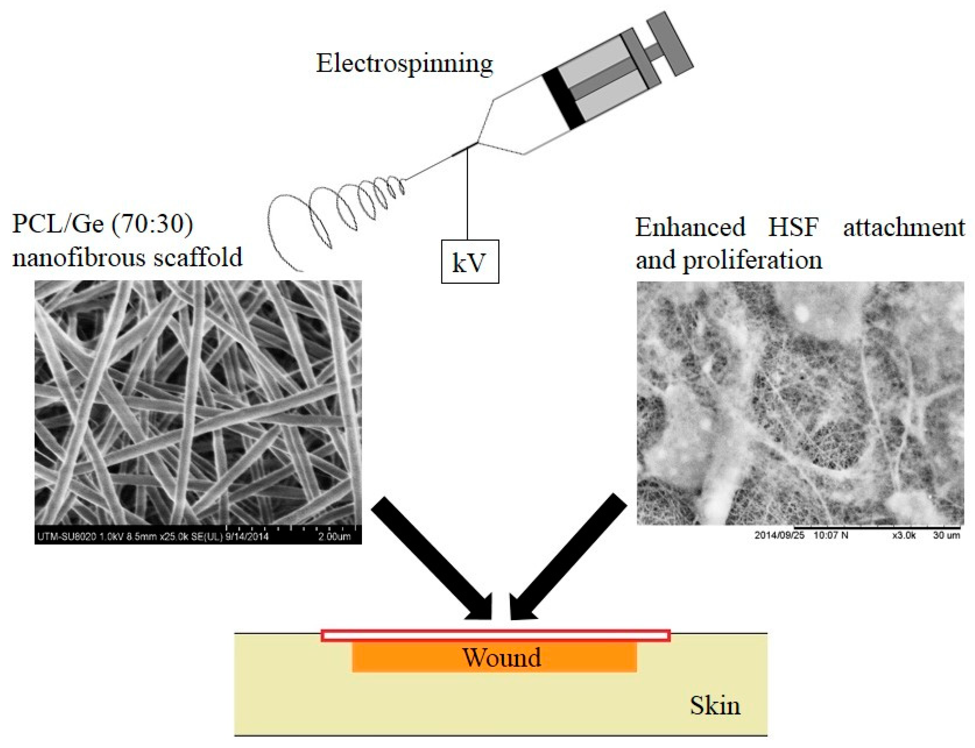 Materials 17 05577 g003