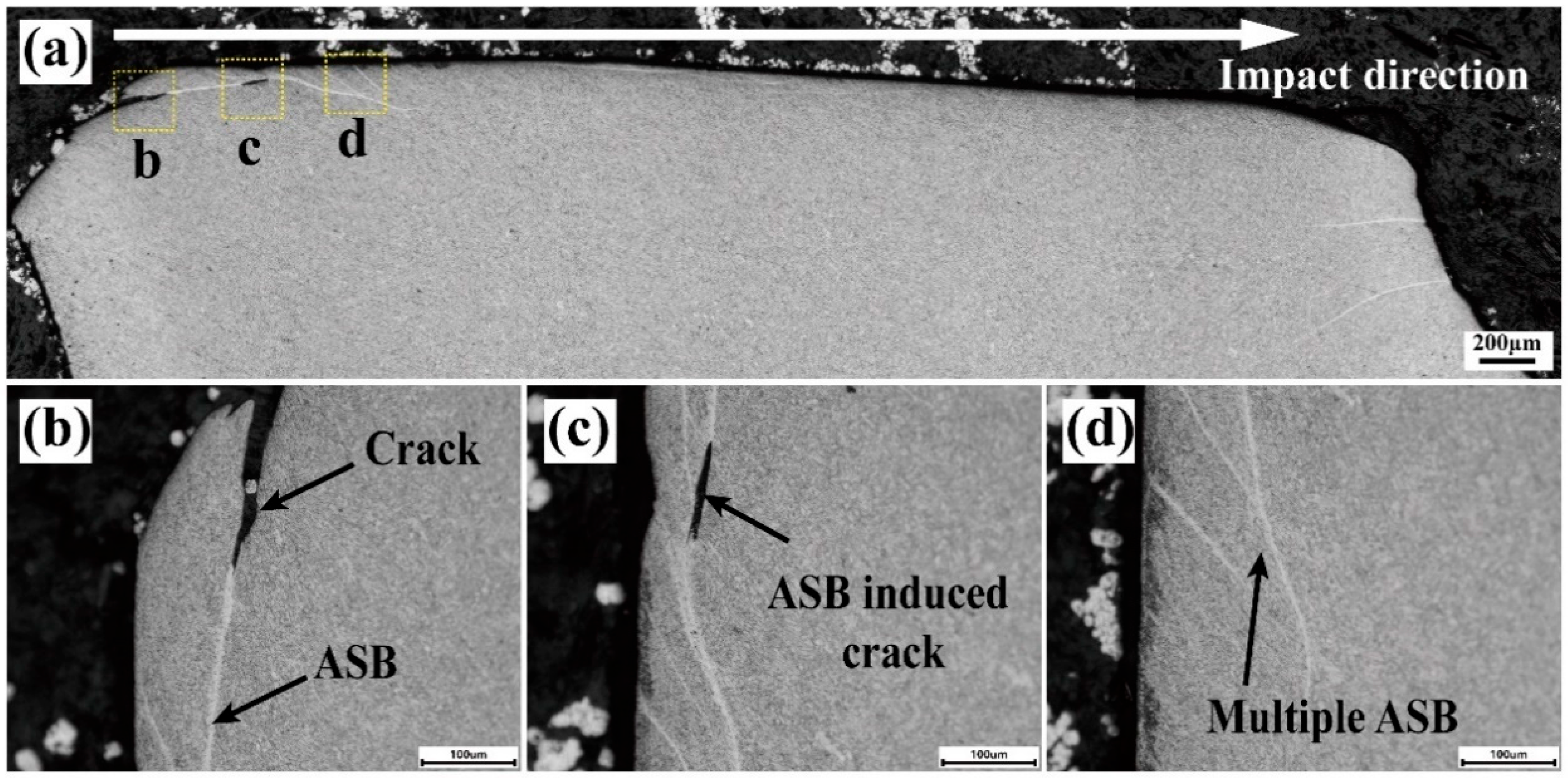 Materials 17 05589 g008